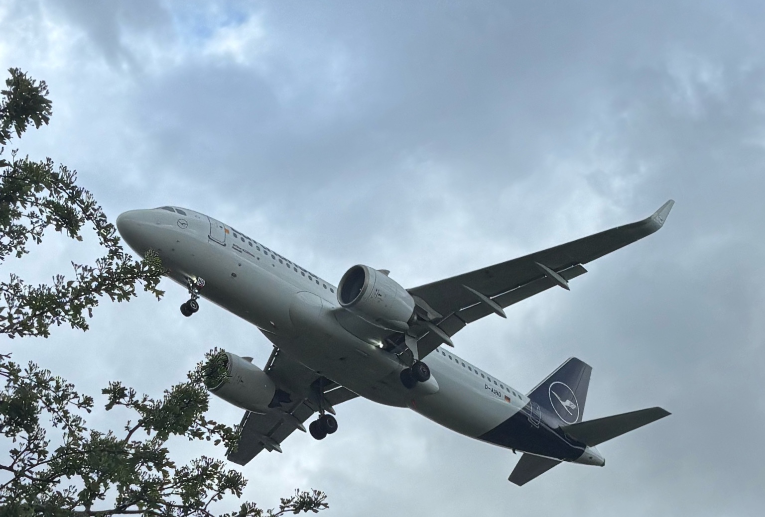 Aircraft