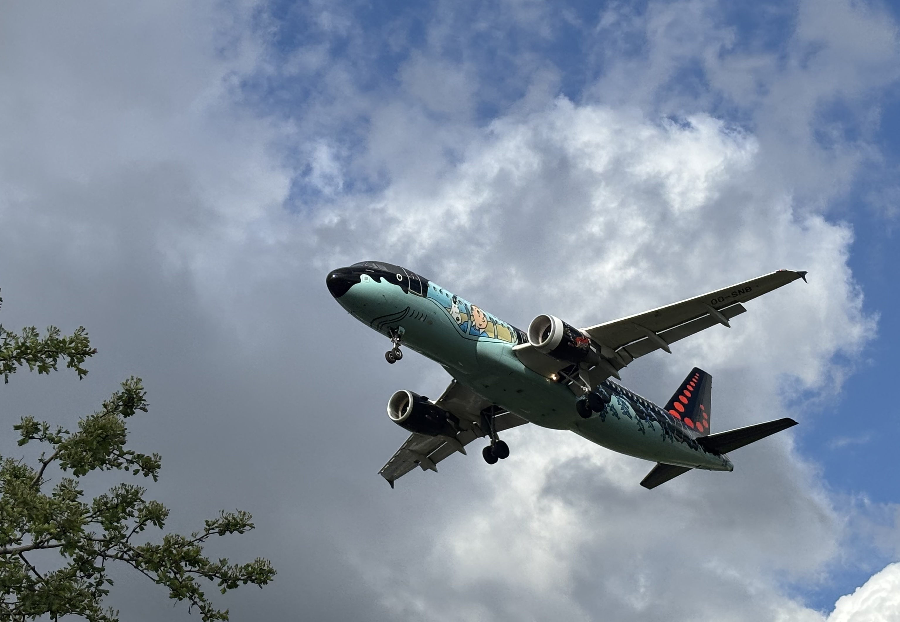 Aircraft