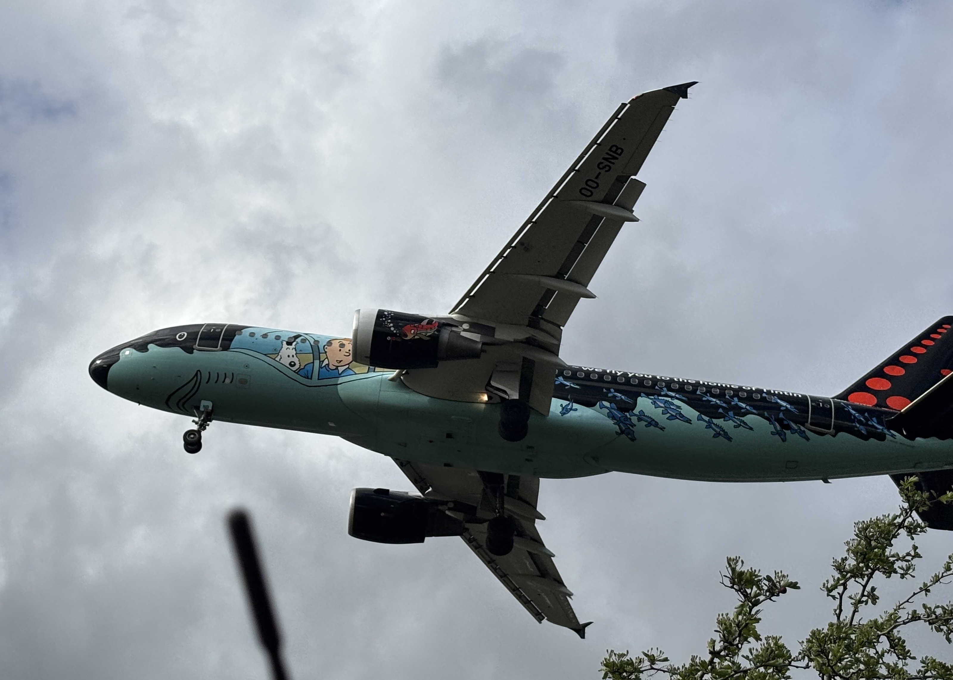 Aircraft