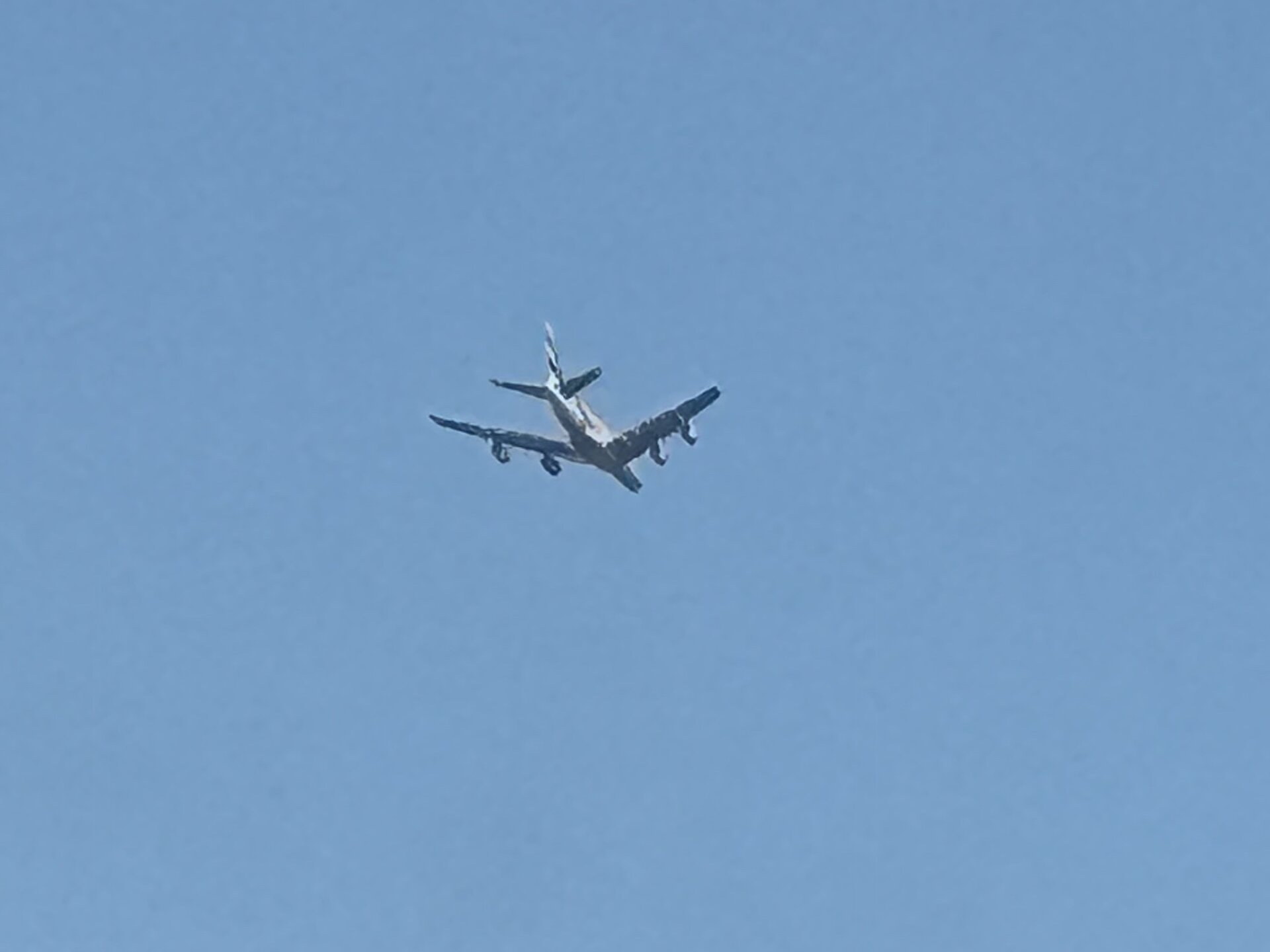 Spotting