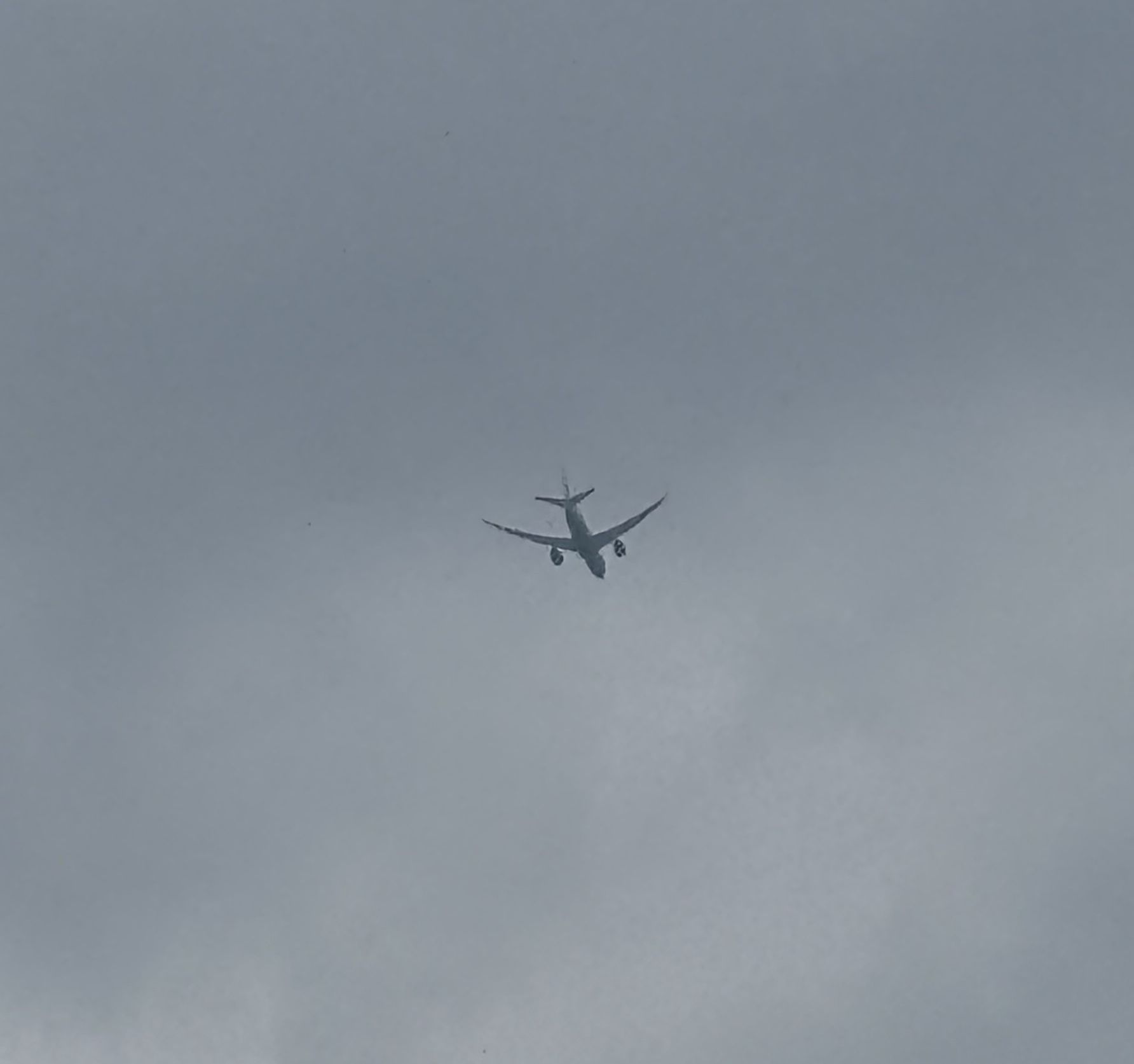 Spotting