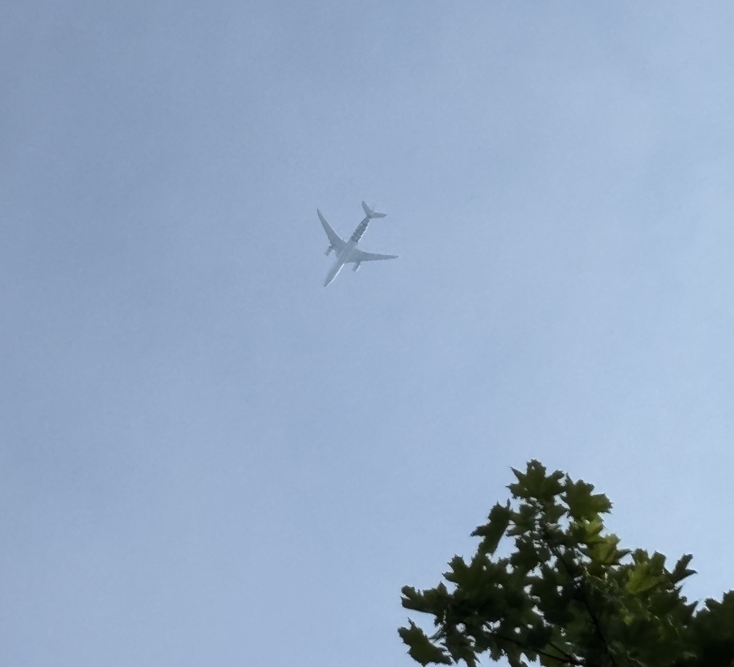 Spotting