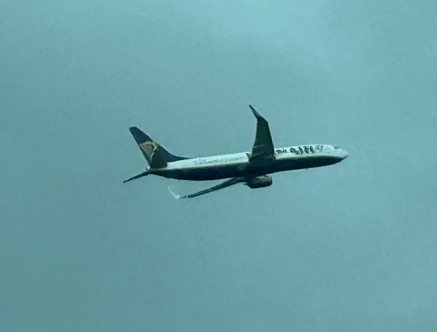 Spotting