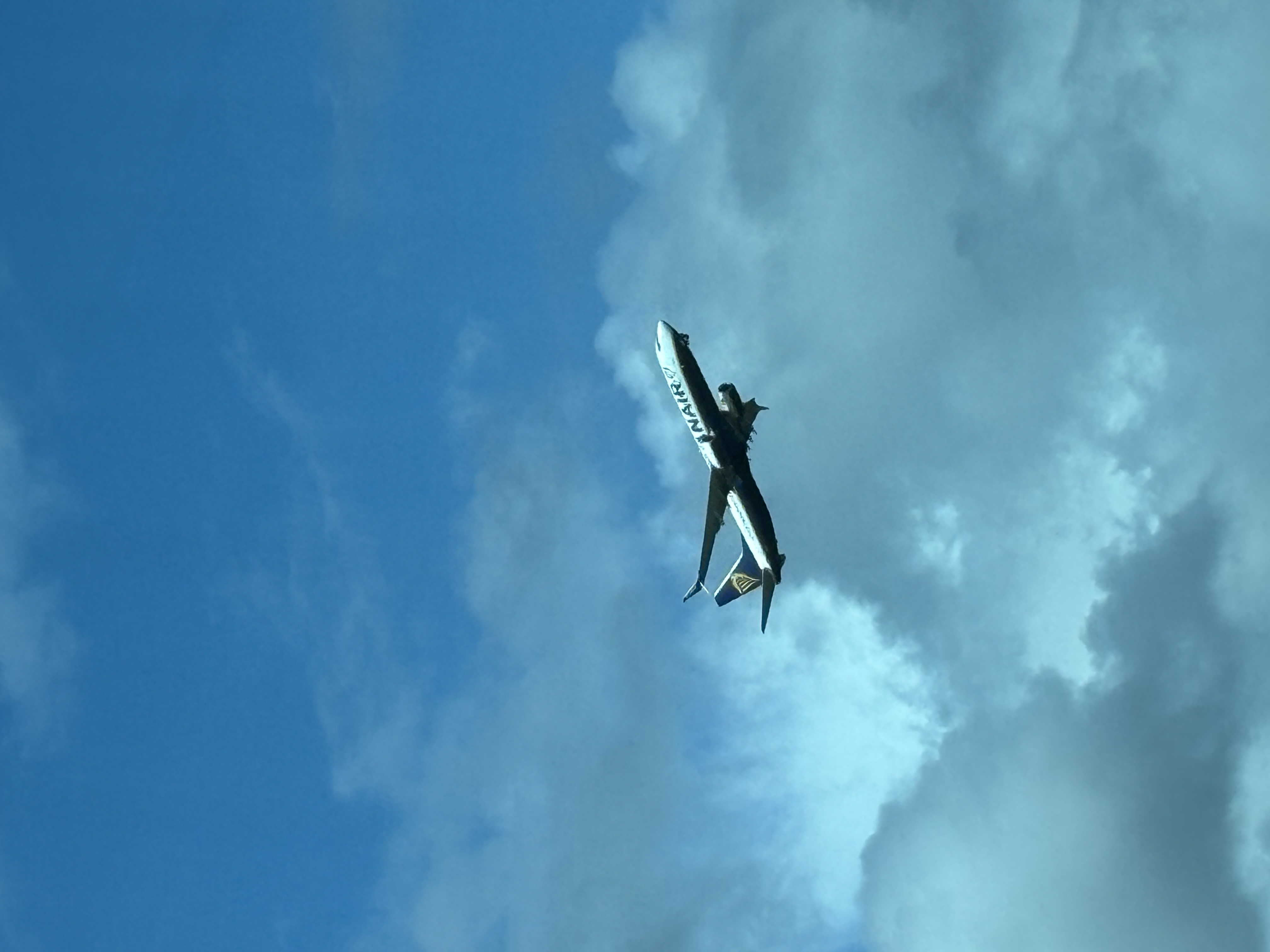 Spotting