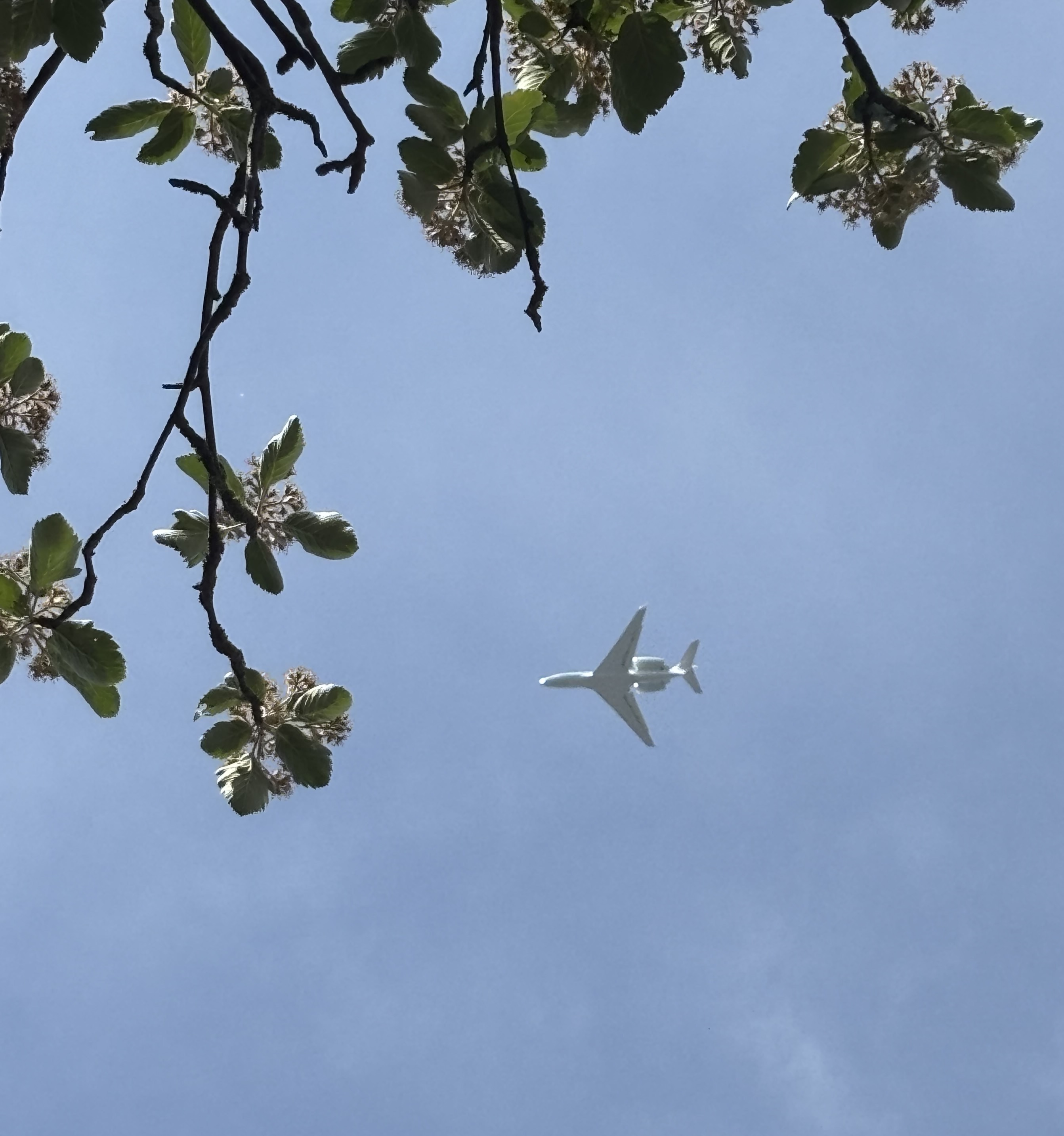 Spotting