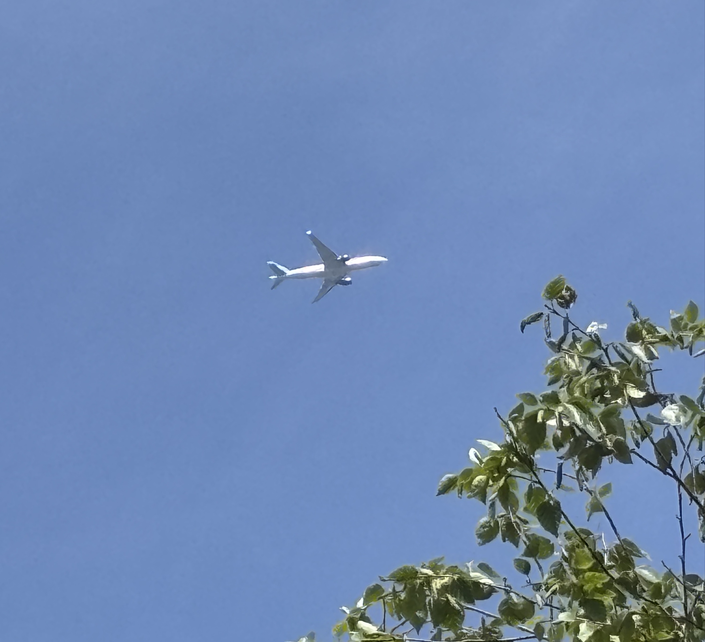 Spotting