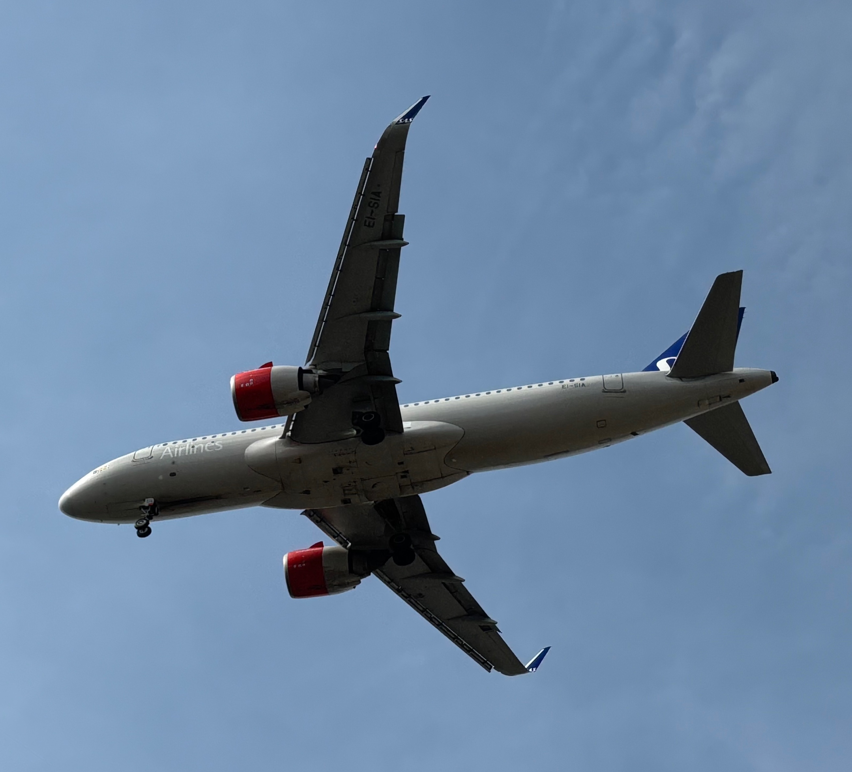 Spotting