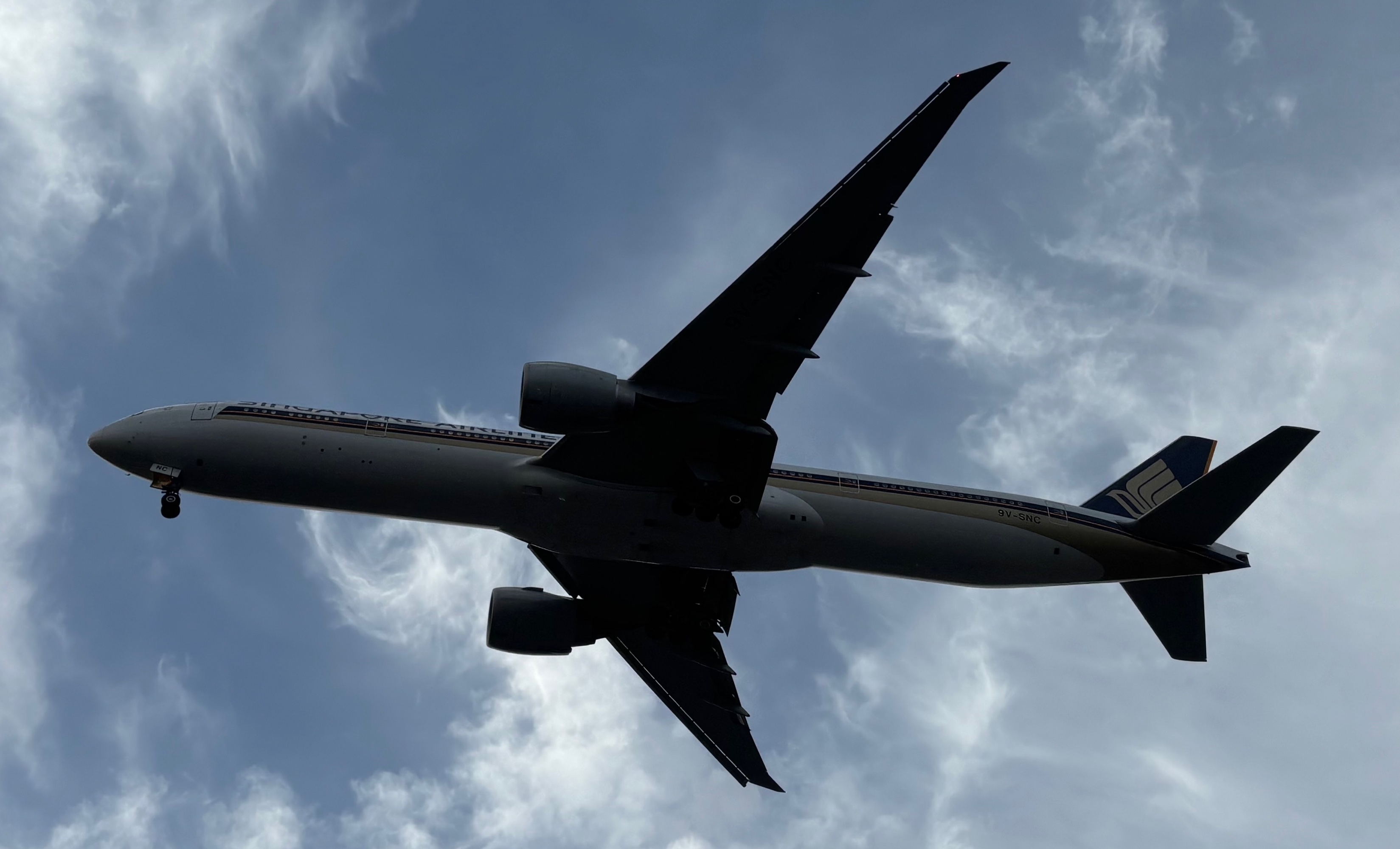 Spotting