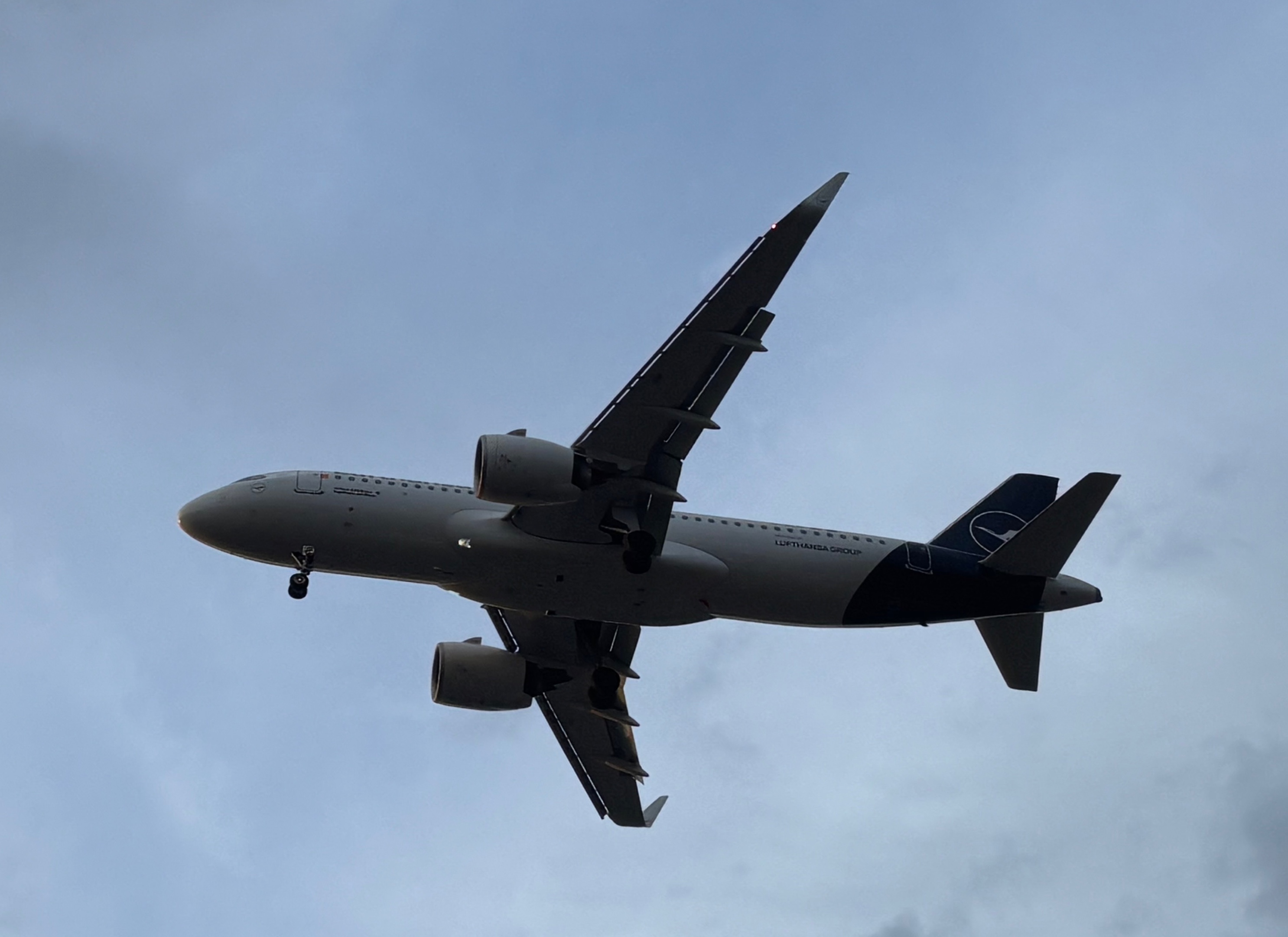 Spotting