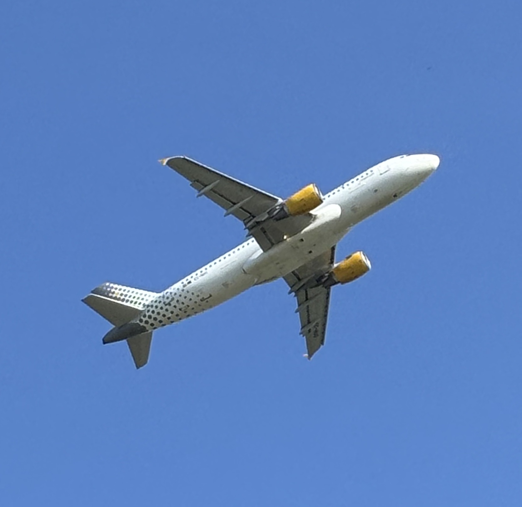 Spotting