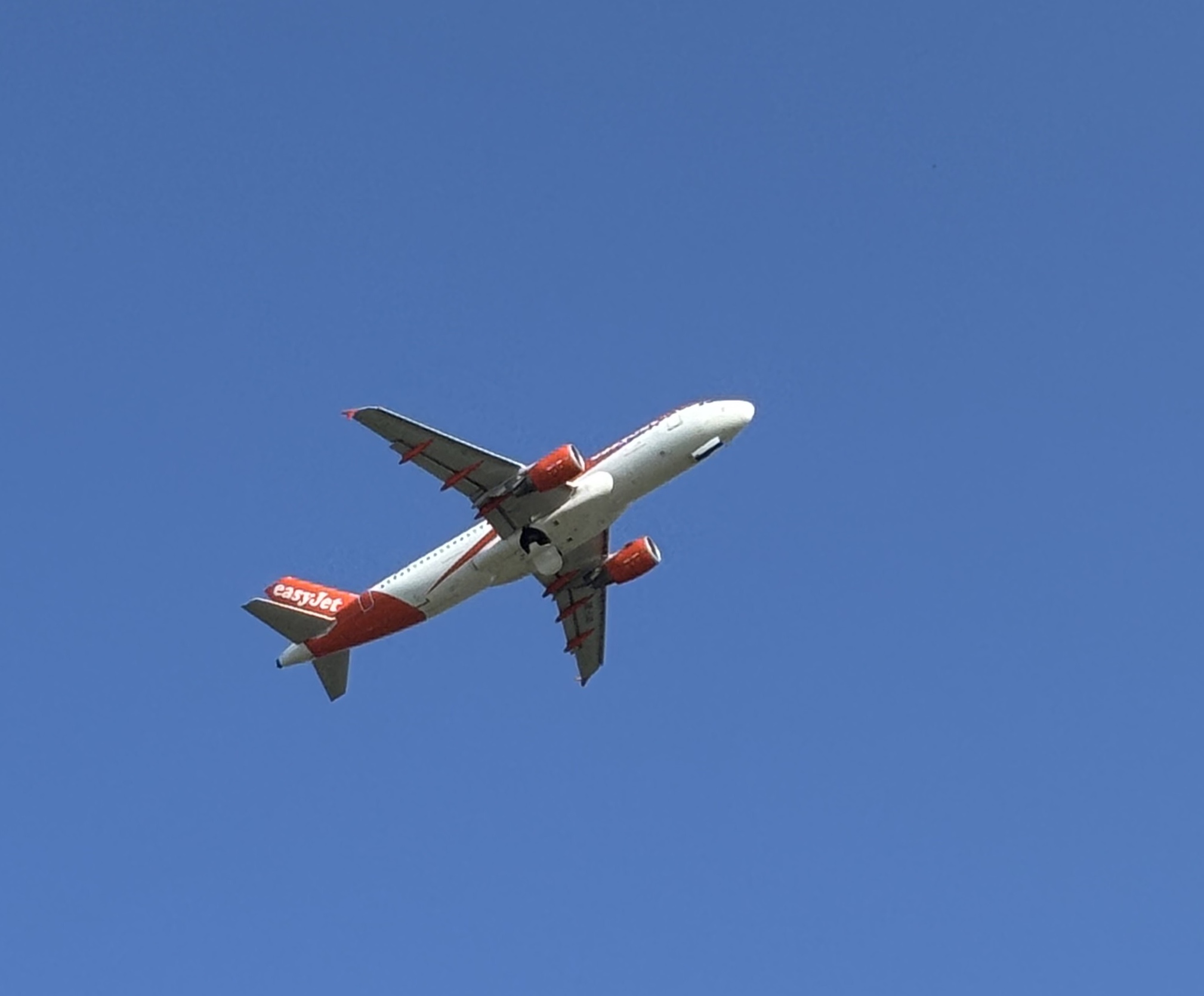 Spotting