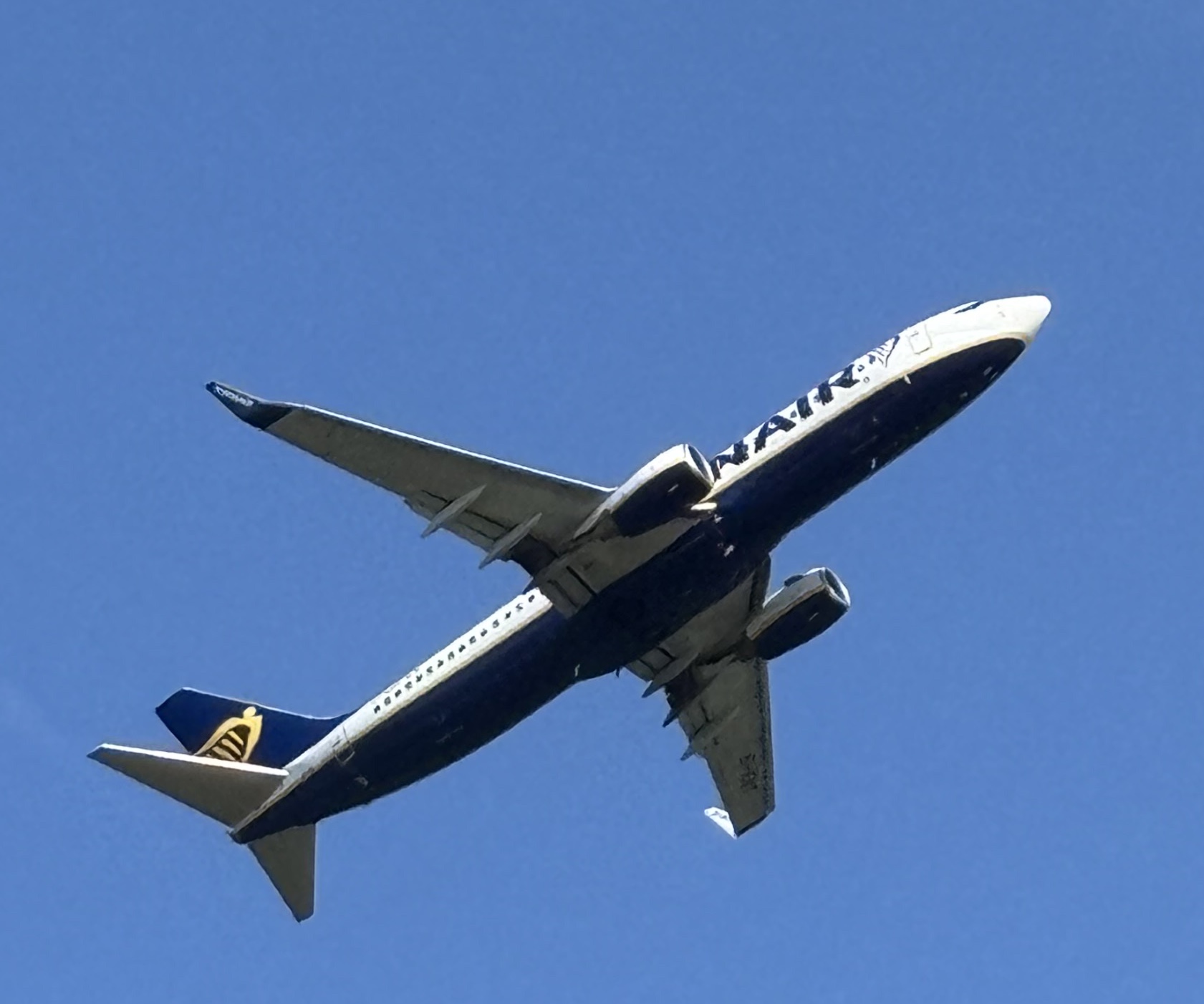 Spotting