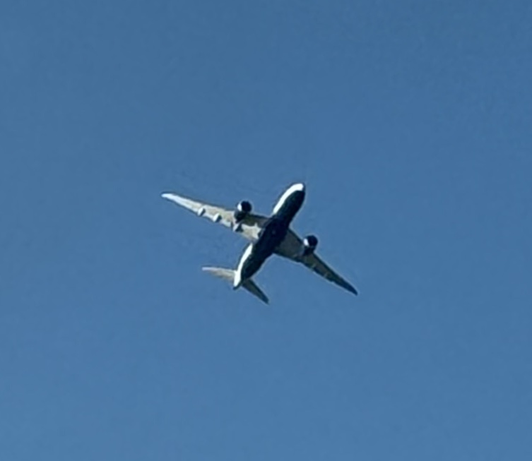 Spotting