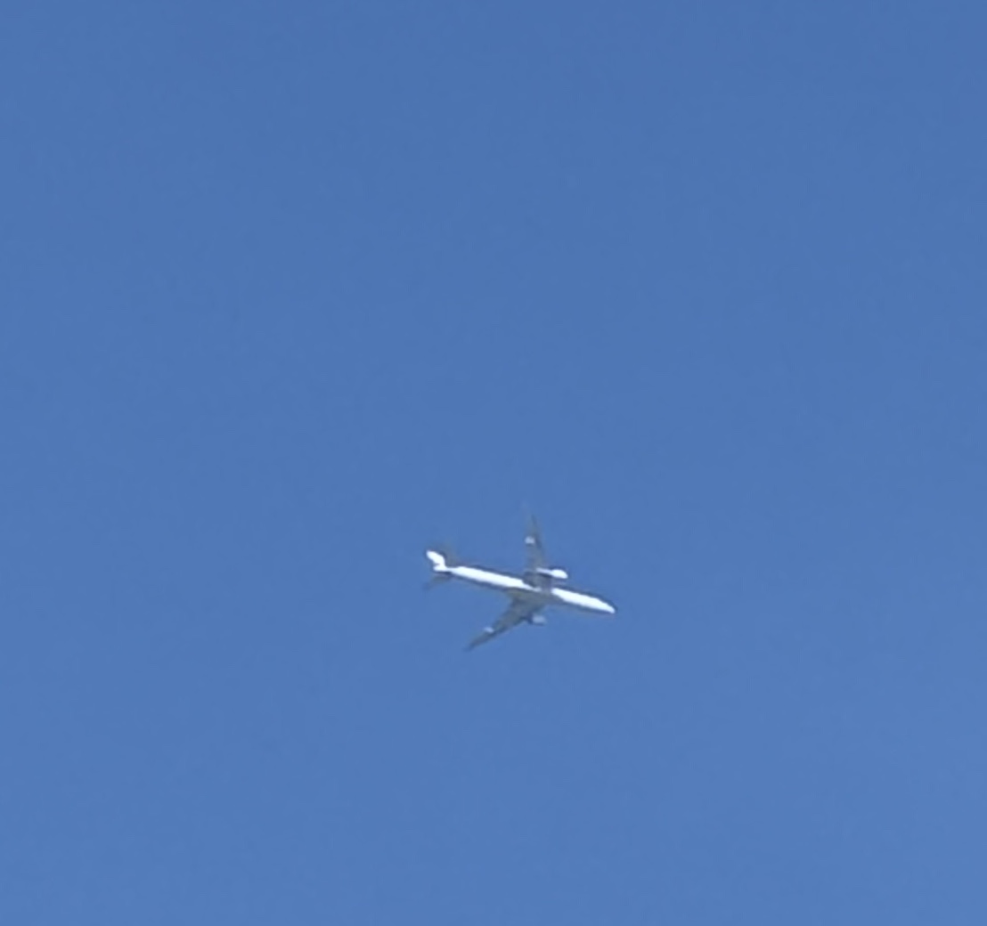 Spotting