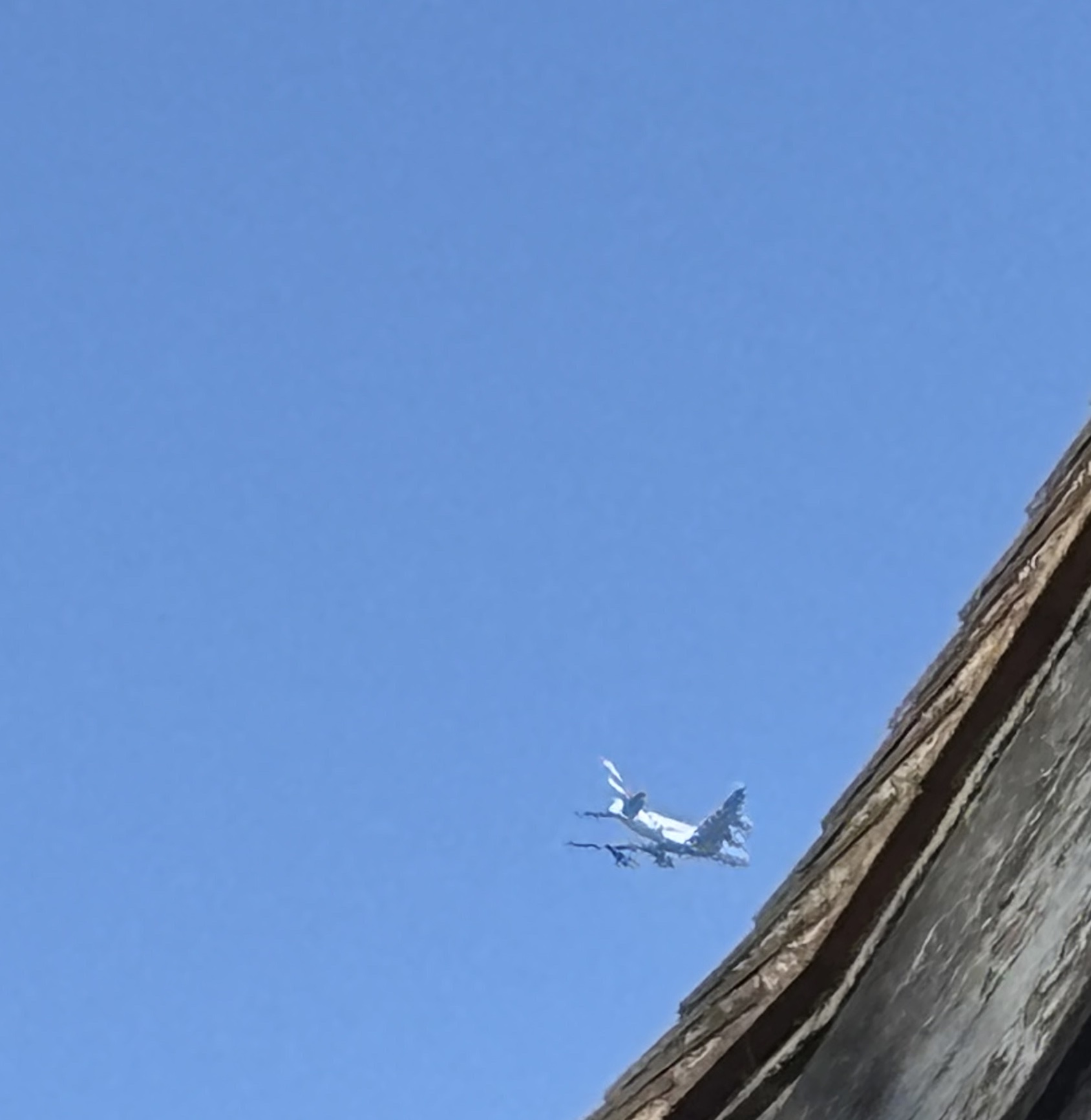 Spotting