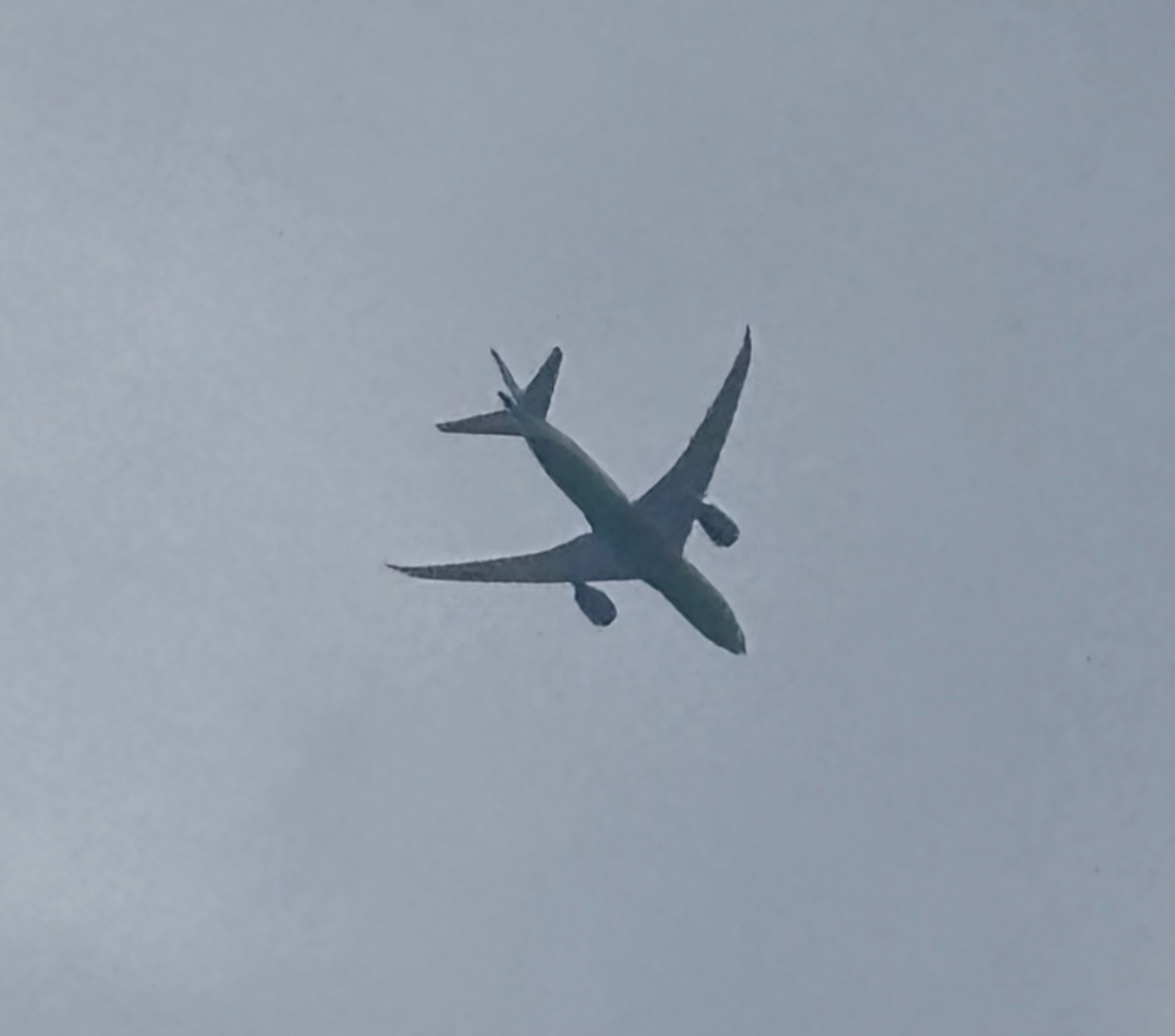 Spotting