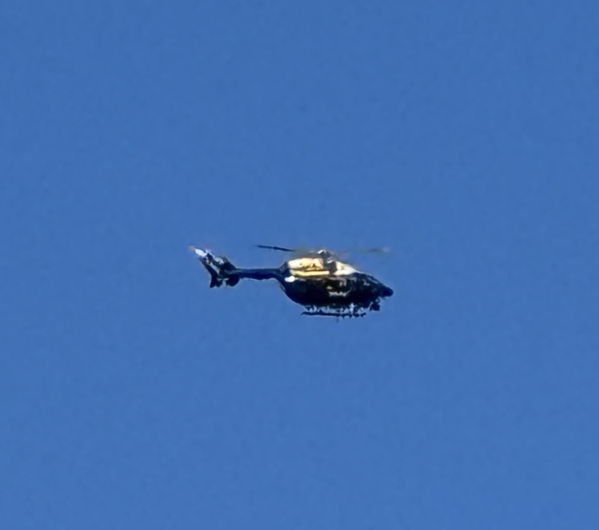 Spotting