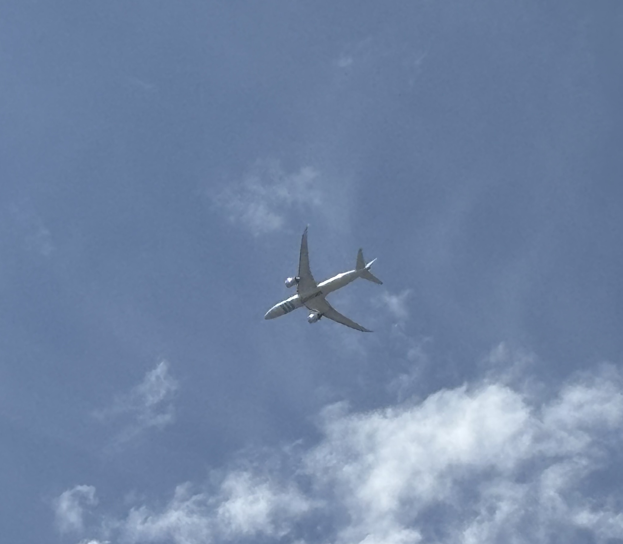 Spotting