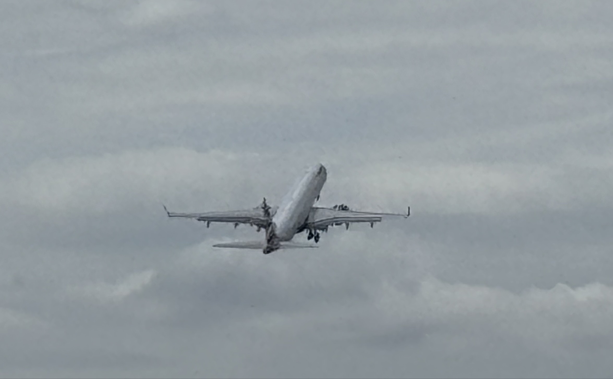 Spotting