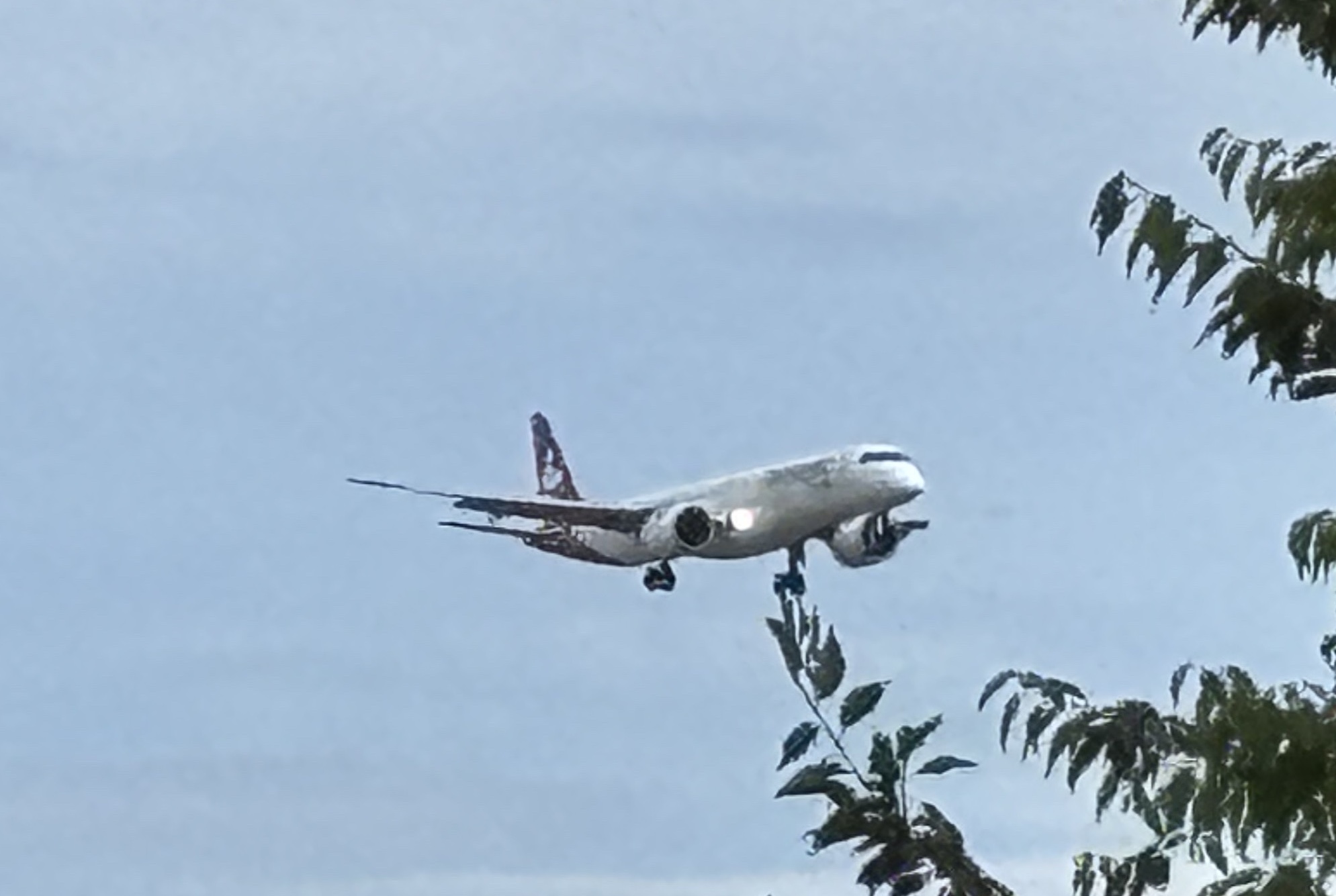 Spotting