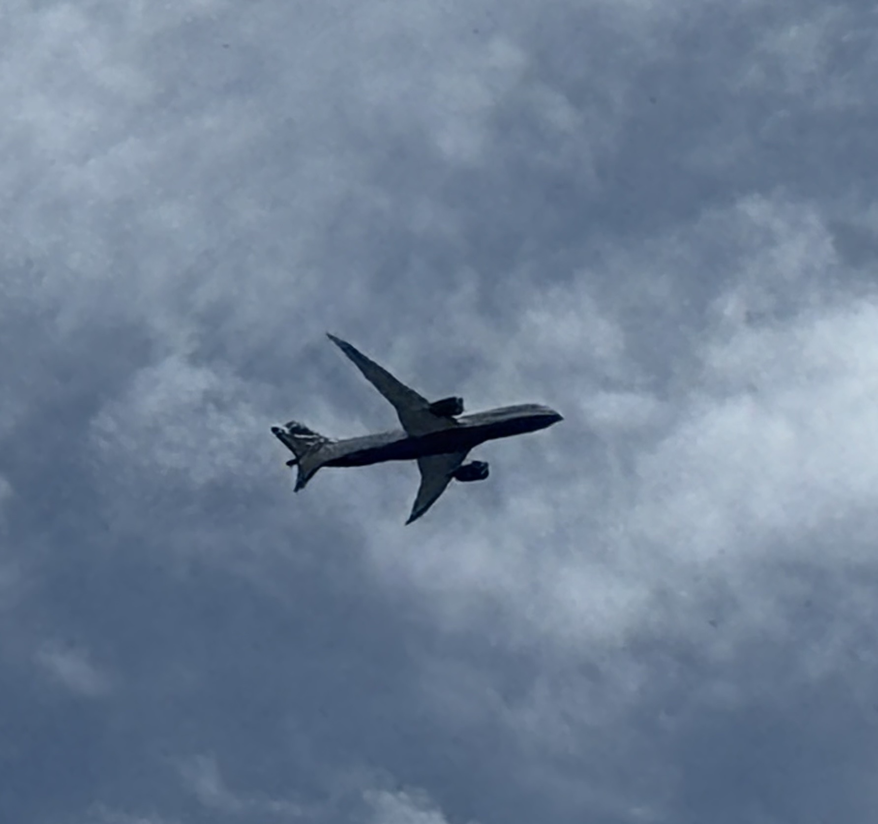 Spotting
