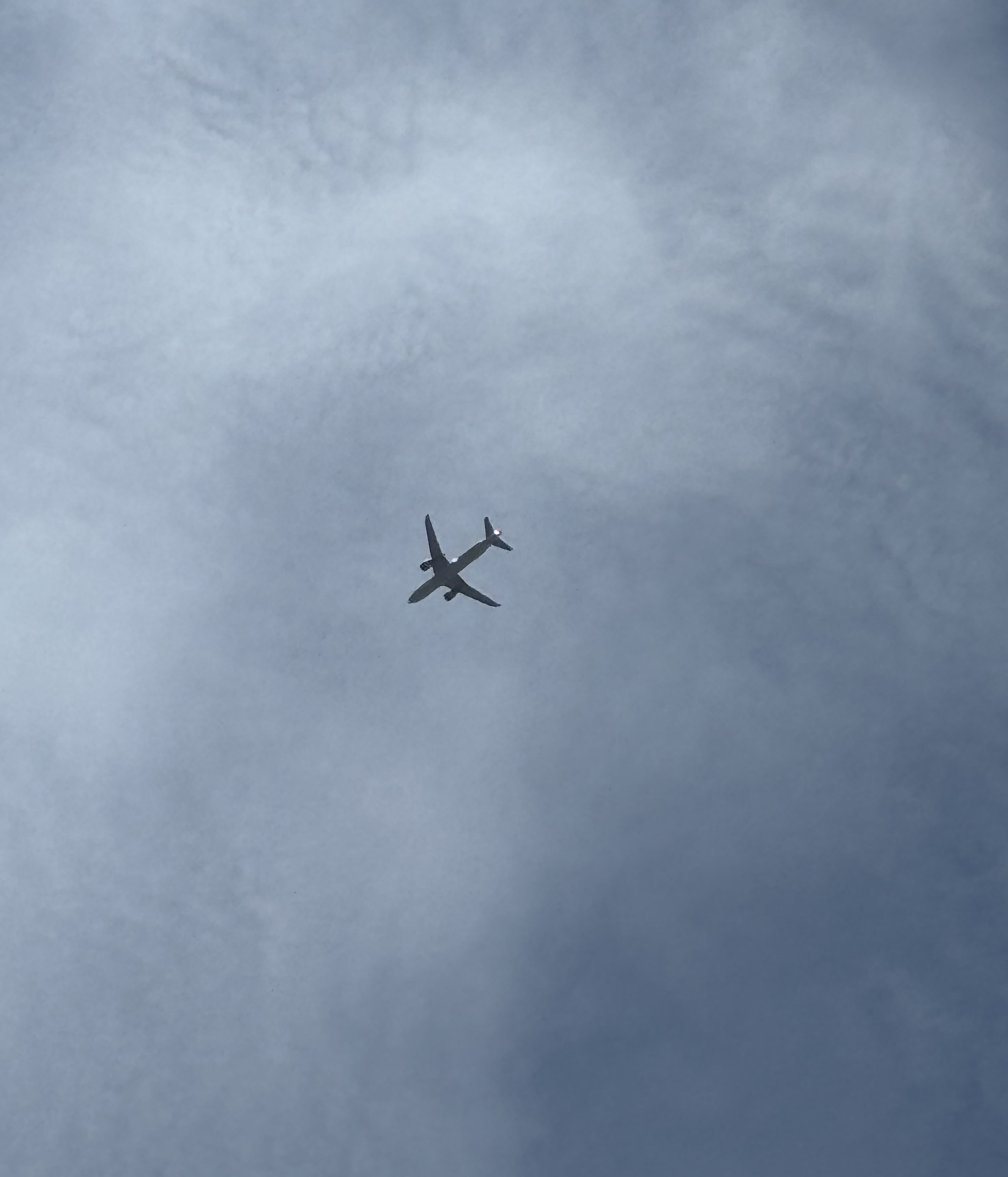 Spotting