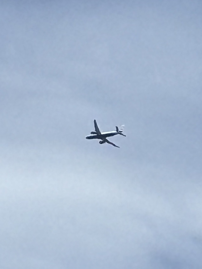 Spotting