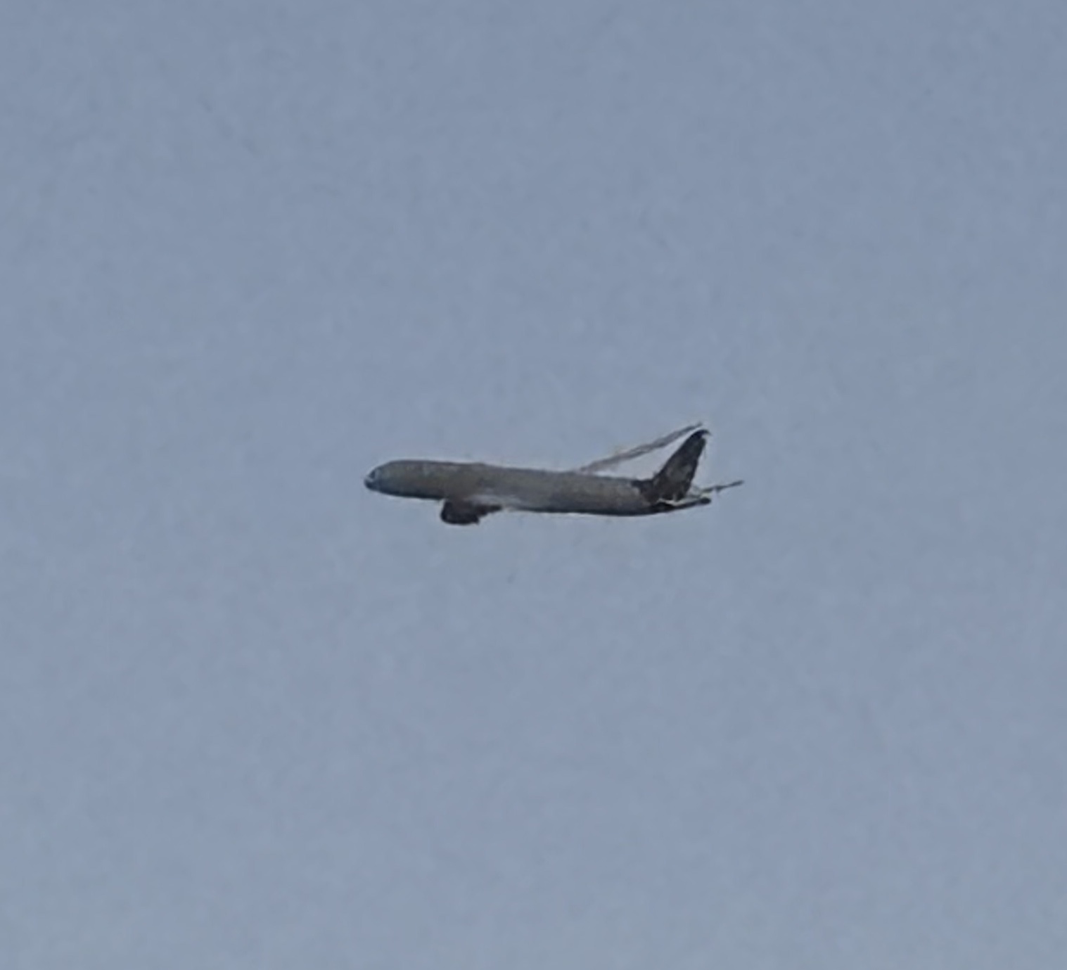 Spotting