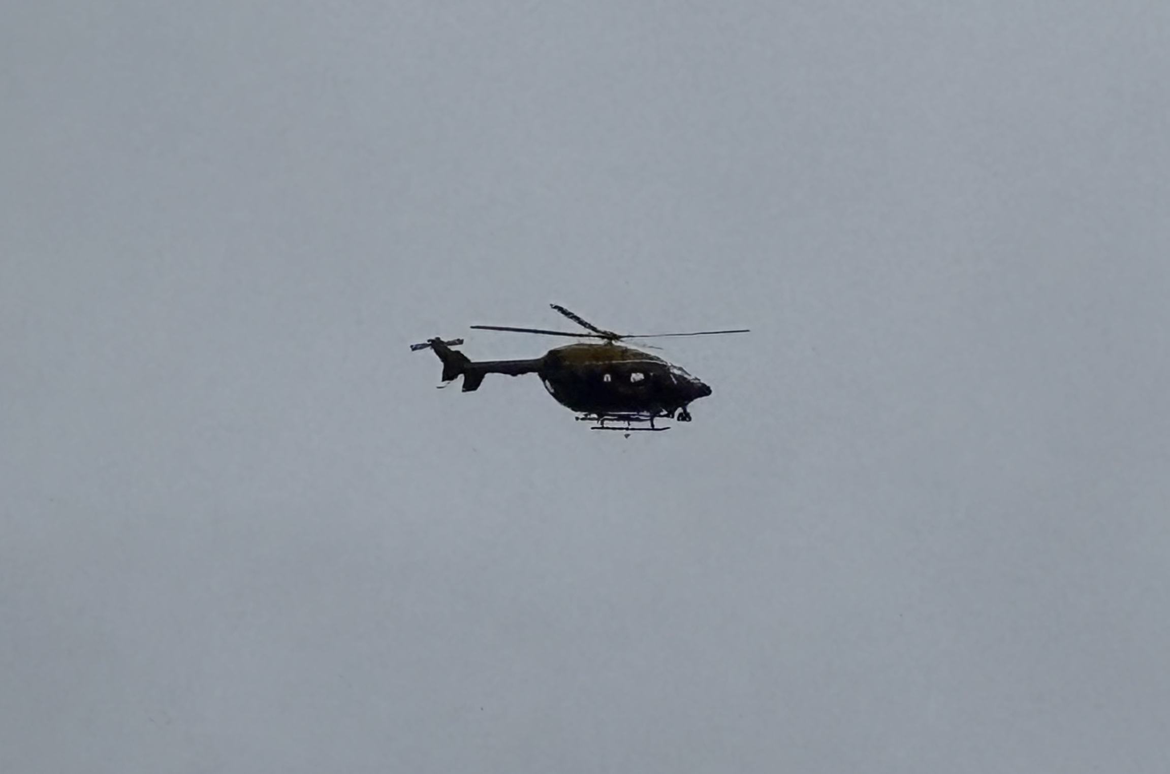 Spotting