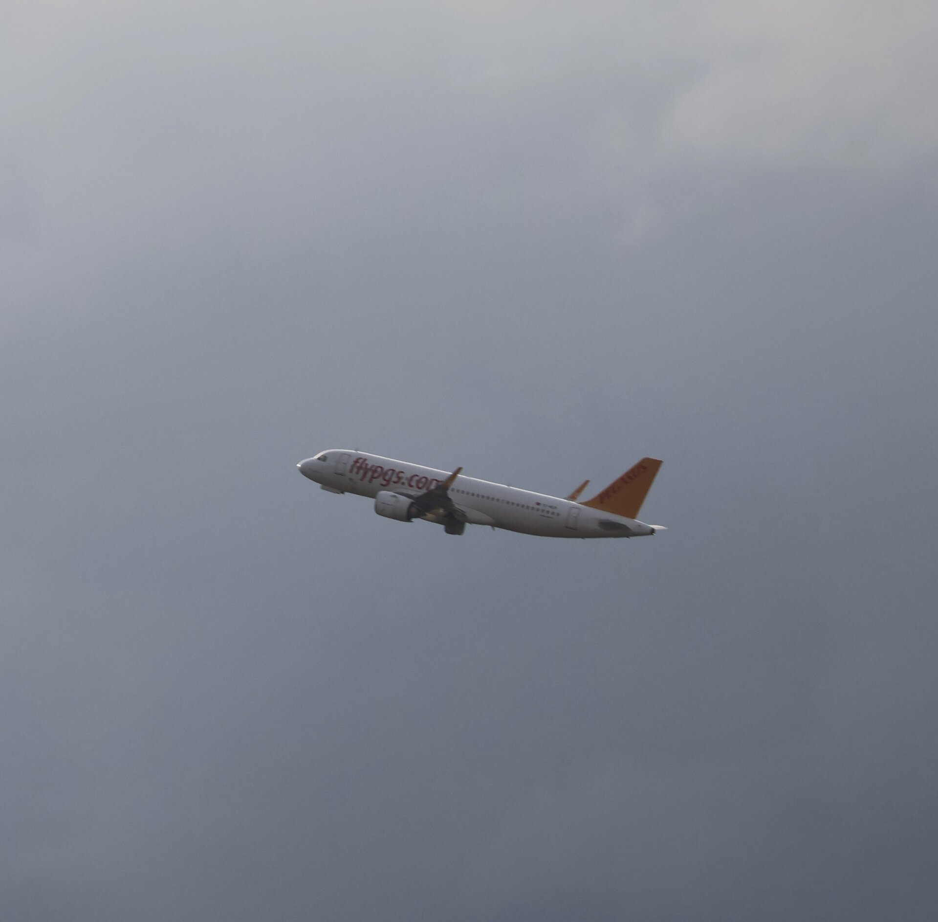 Spotting
