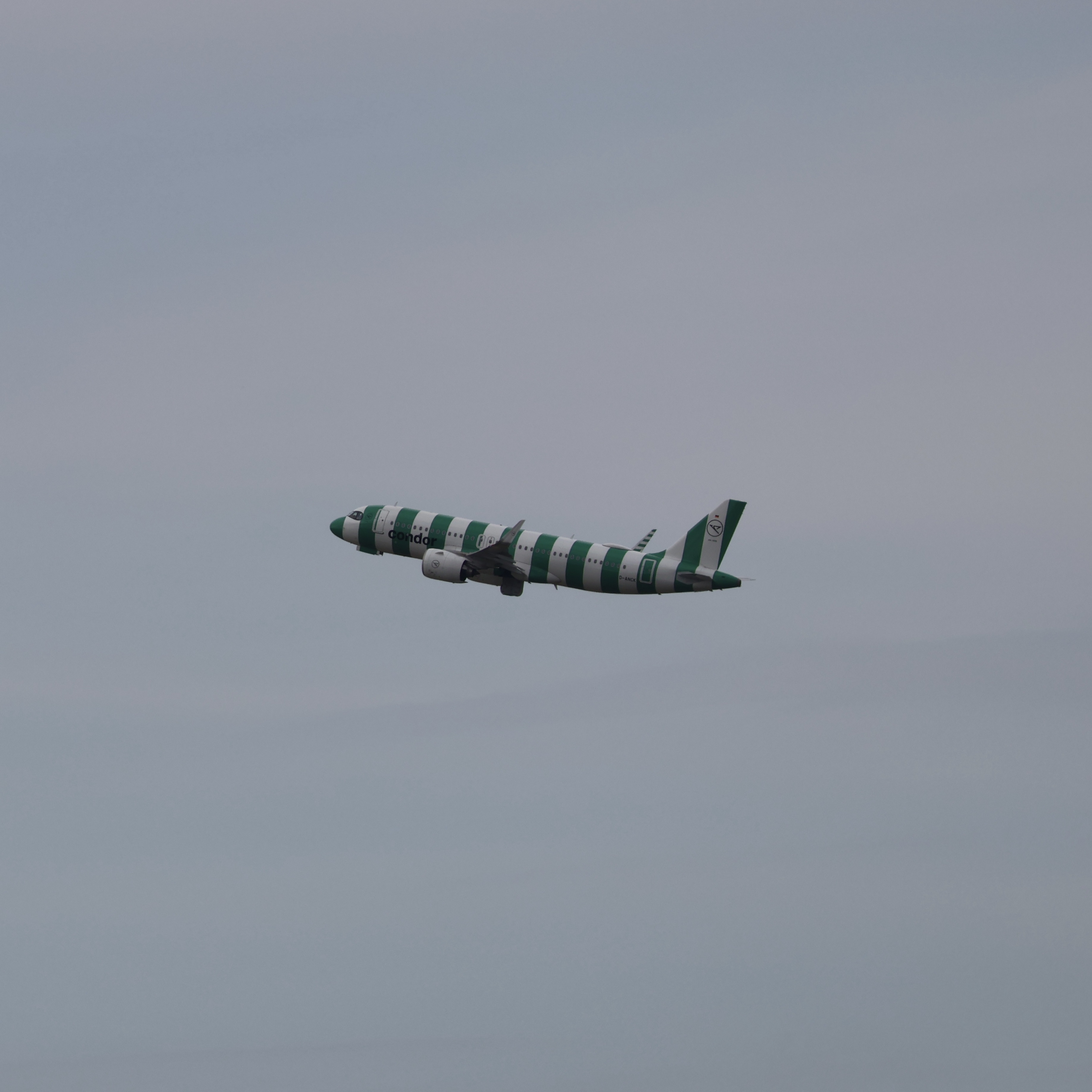 Spotting