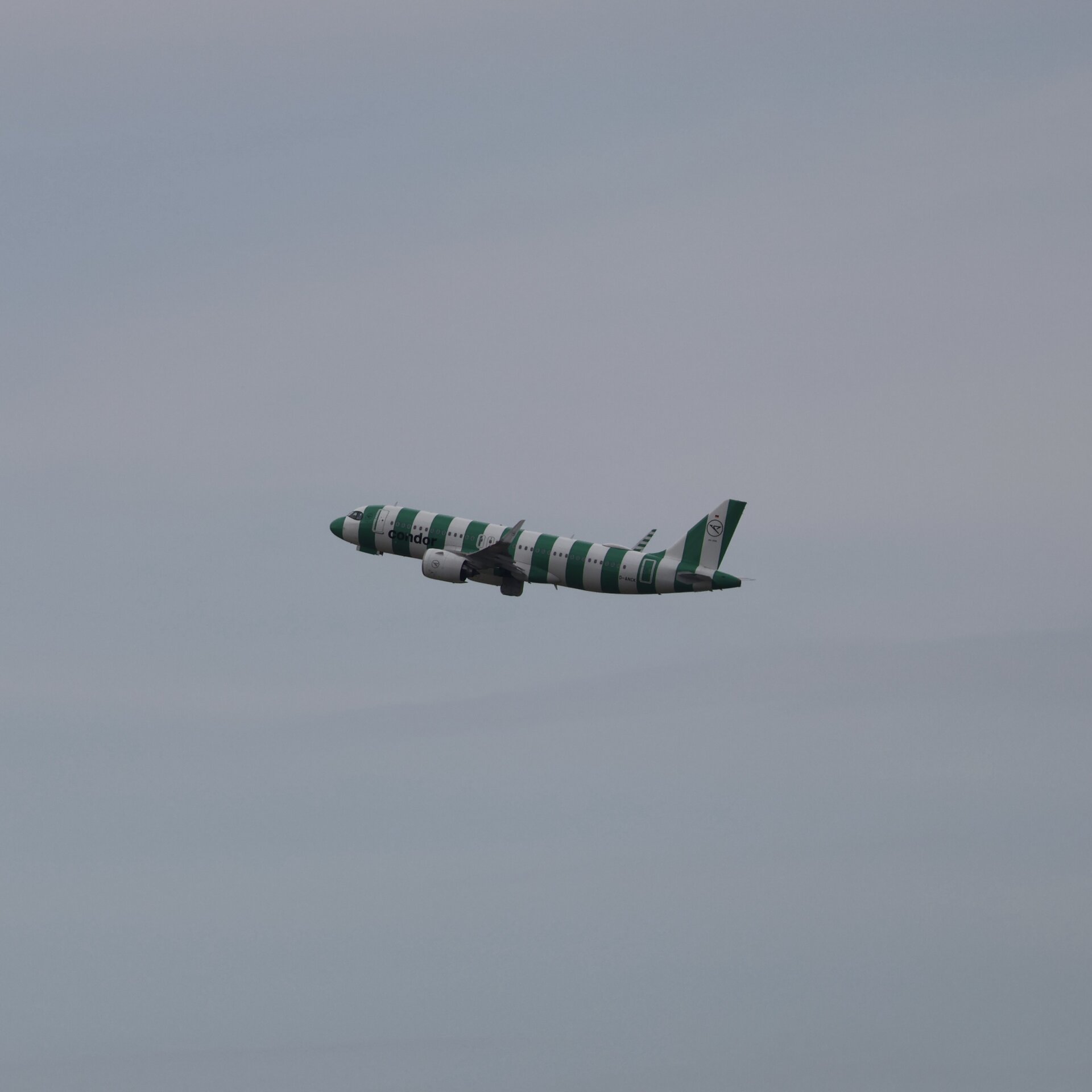 Airbus A20N