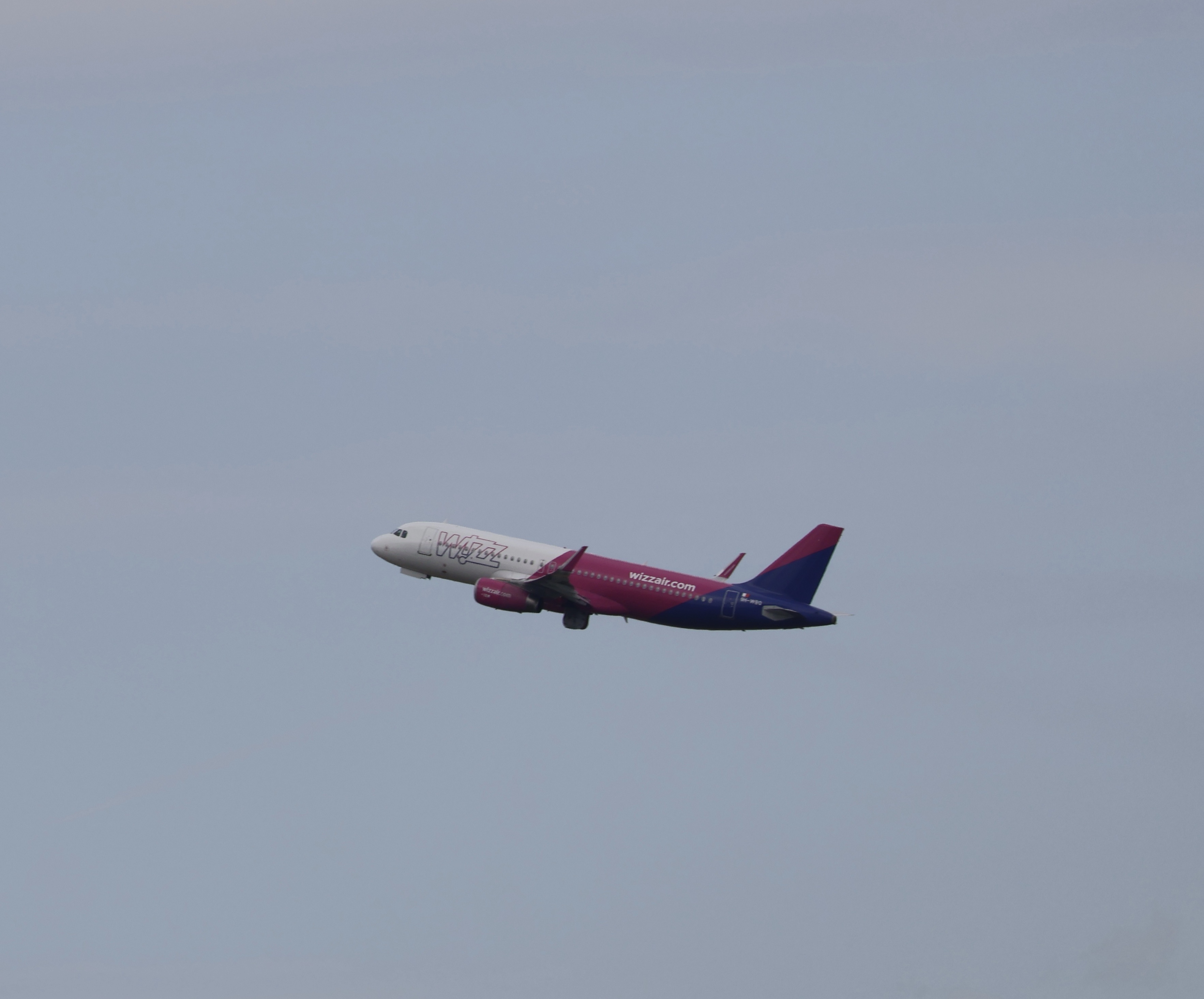 Spotting