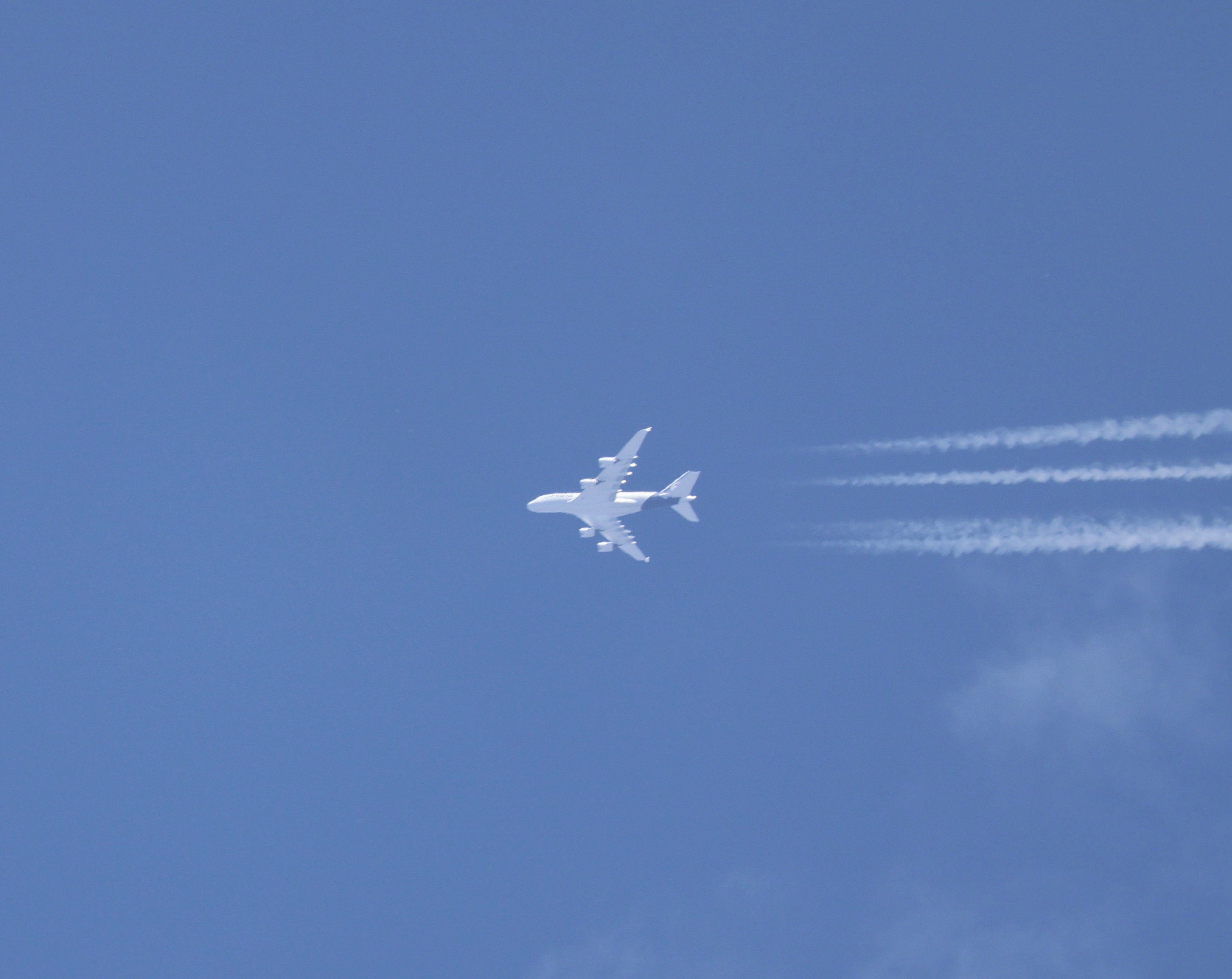 Spotting