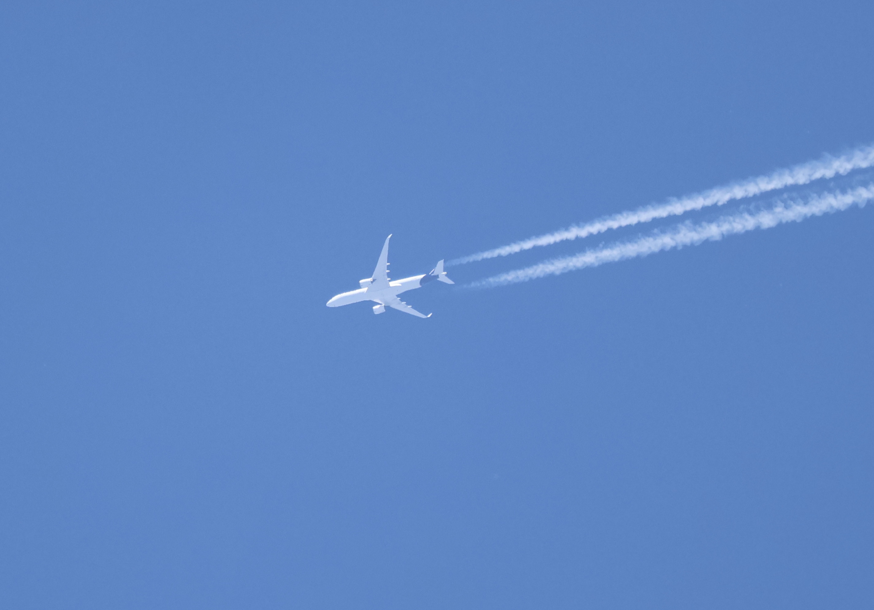 Spotting