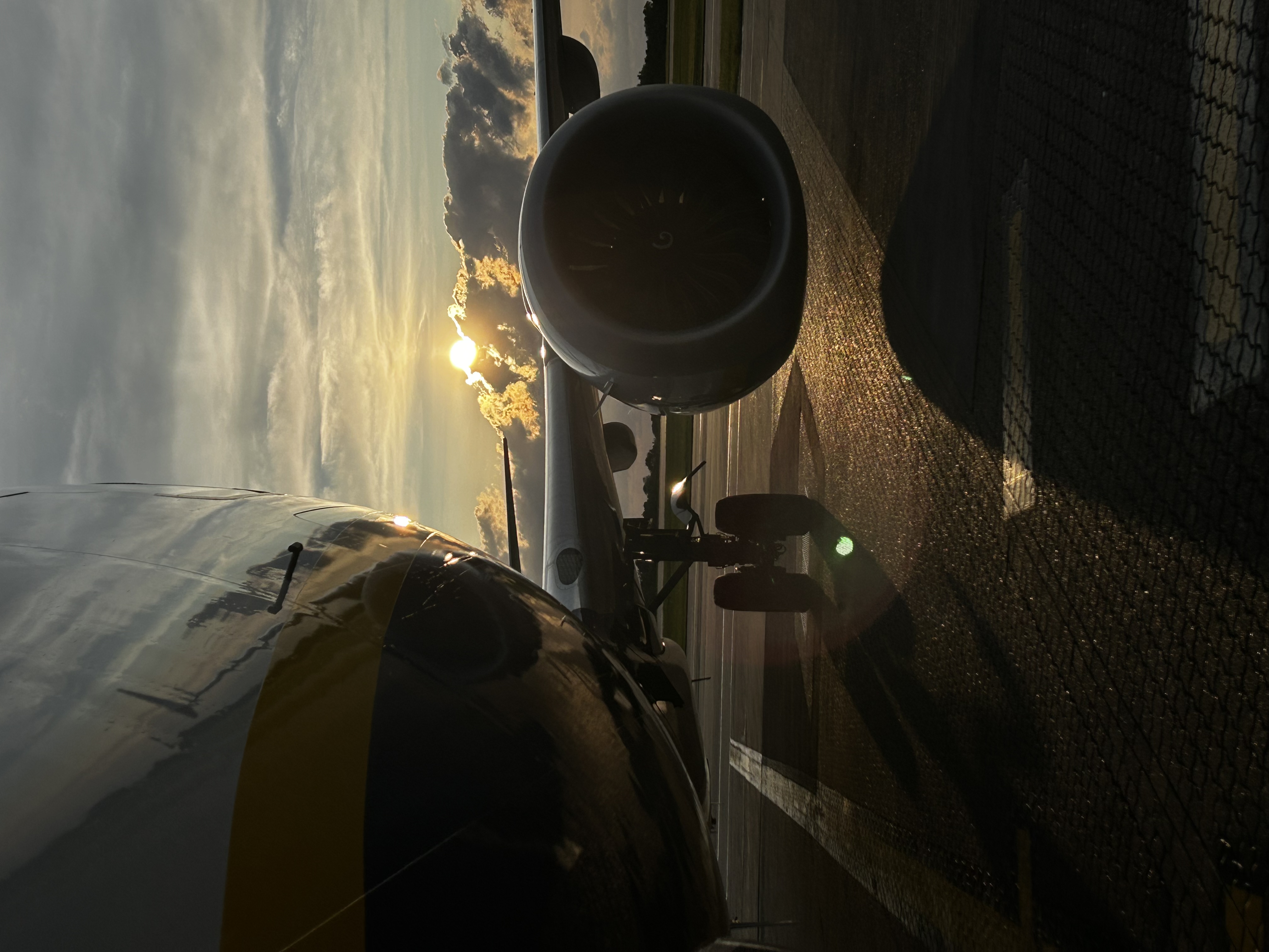 Spotting