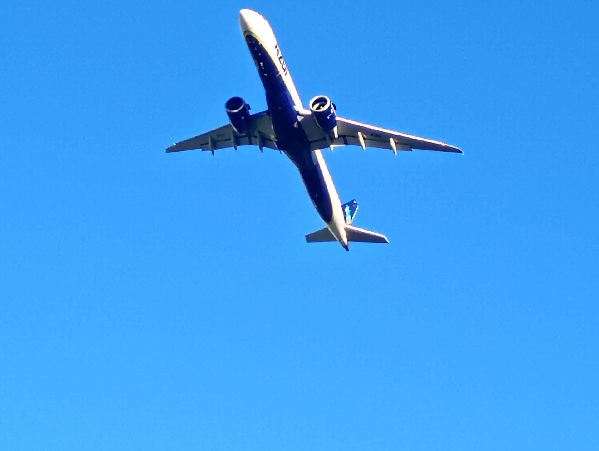Spotting