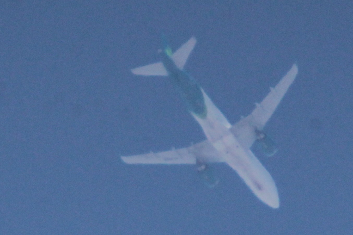 Spotting