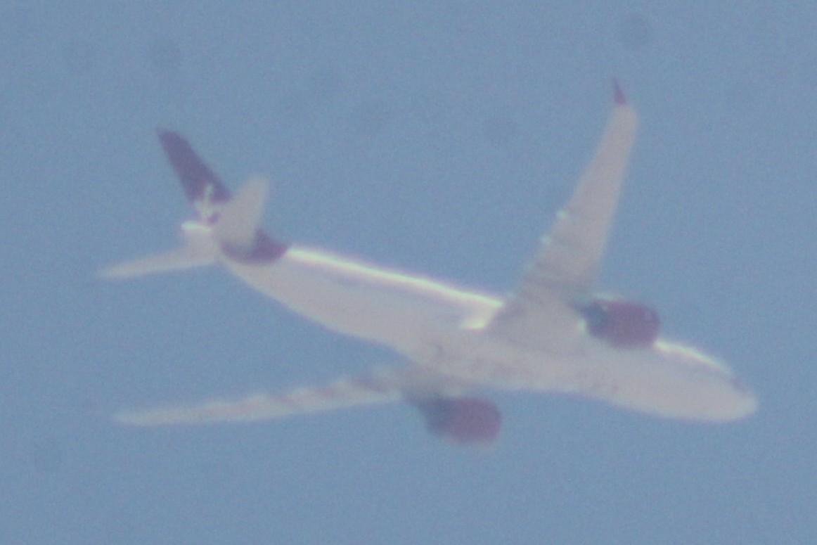 Spotting
