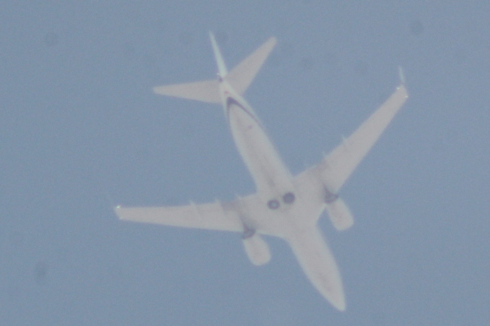 Spotting
