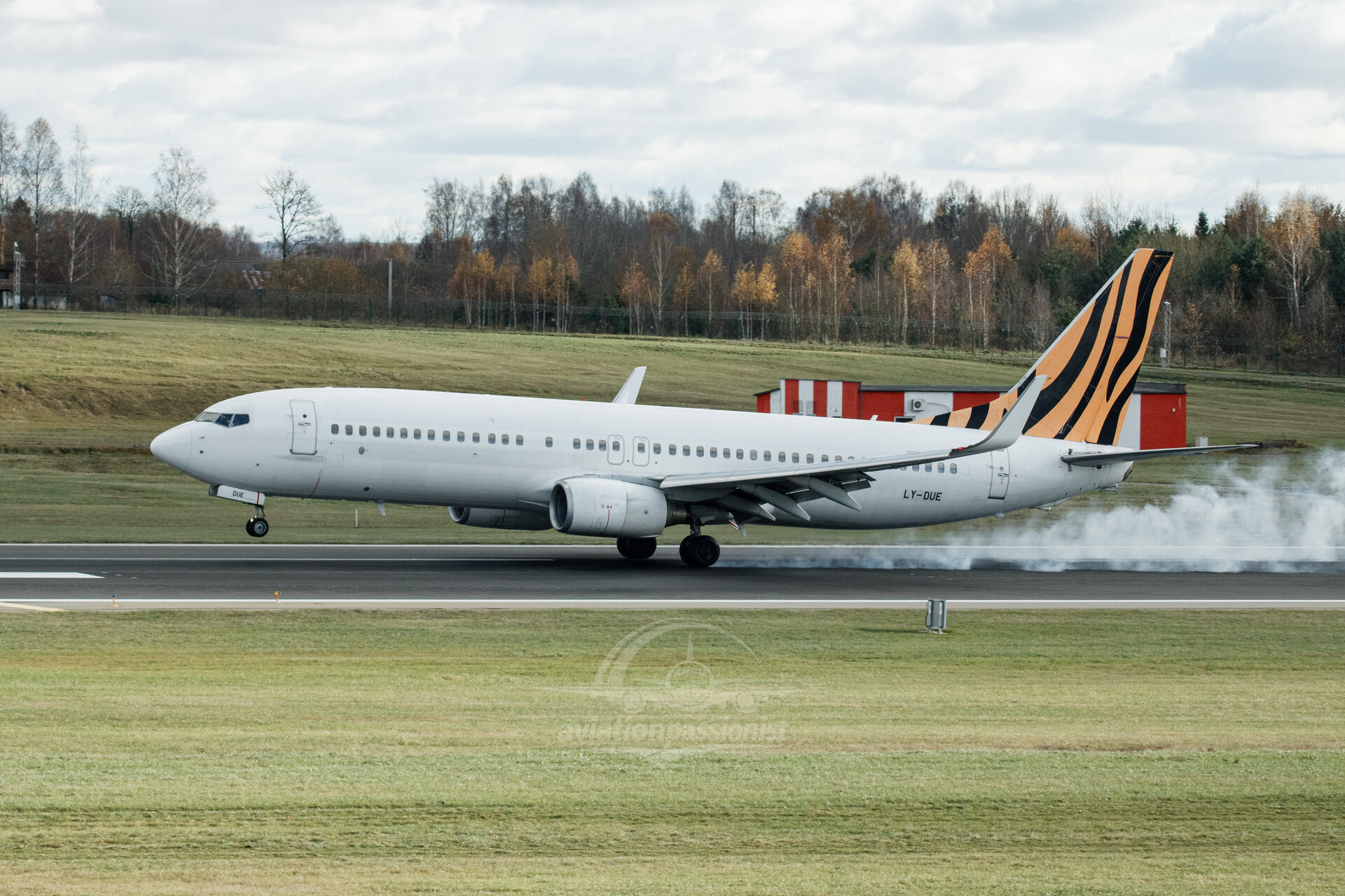 Boeing 737-800