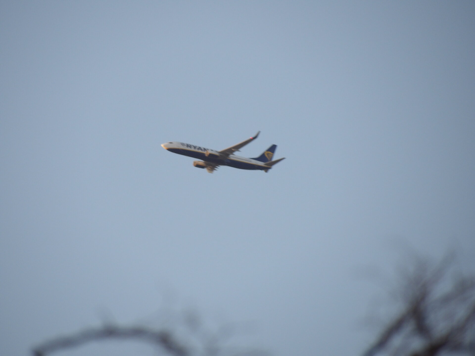 Boeing 737-800