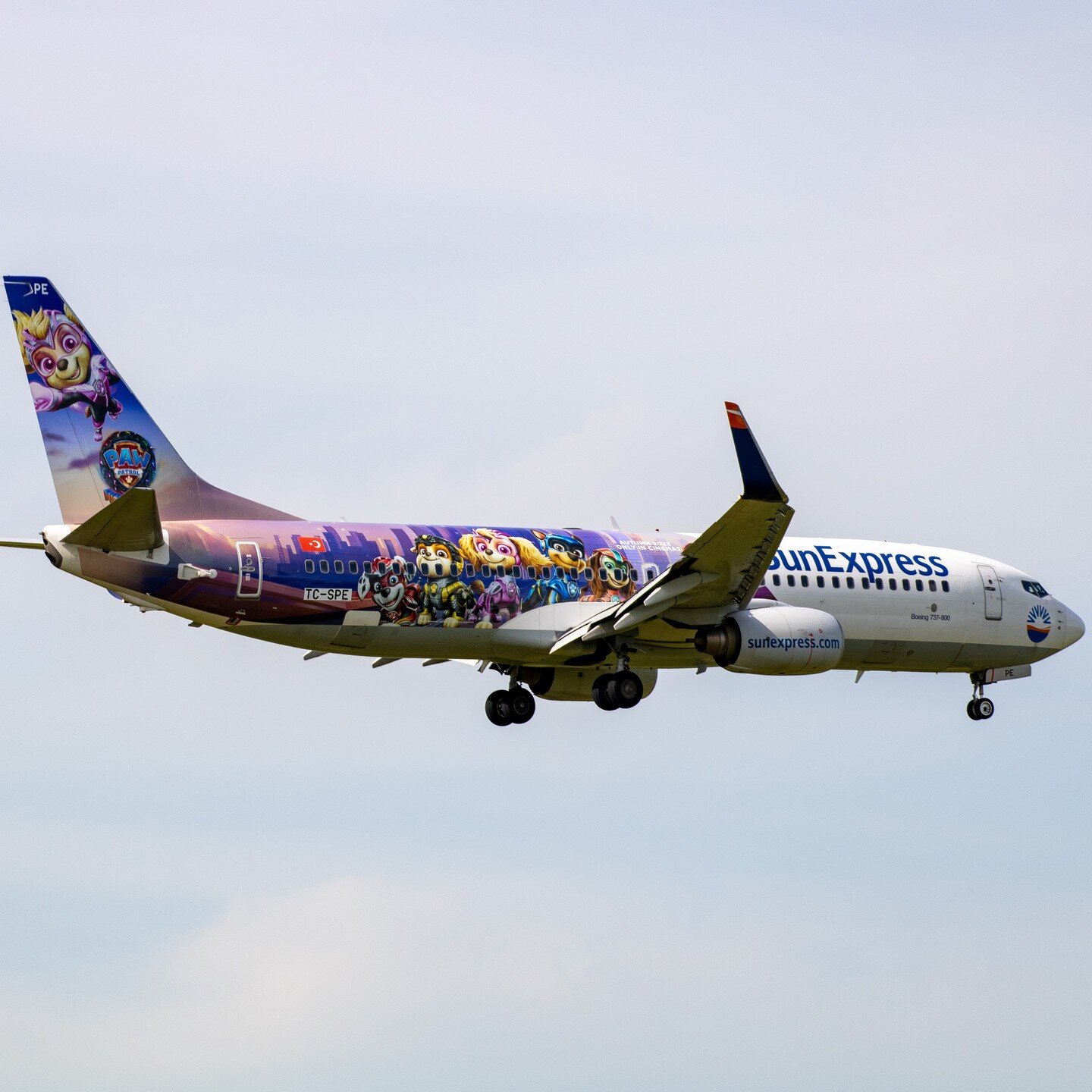 Boeing 737-800