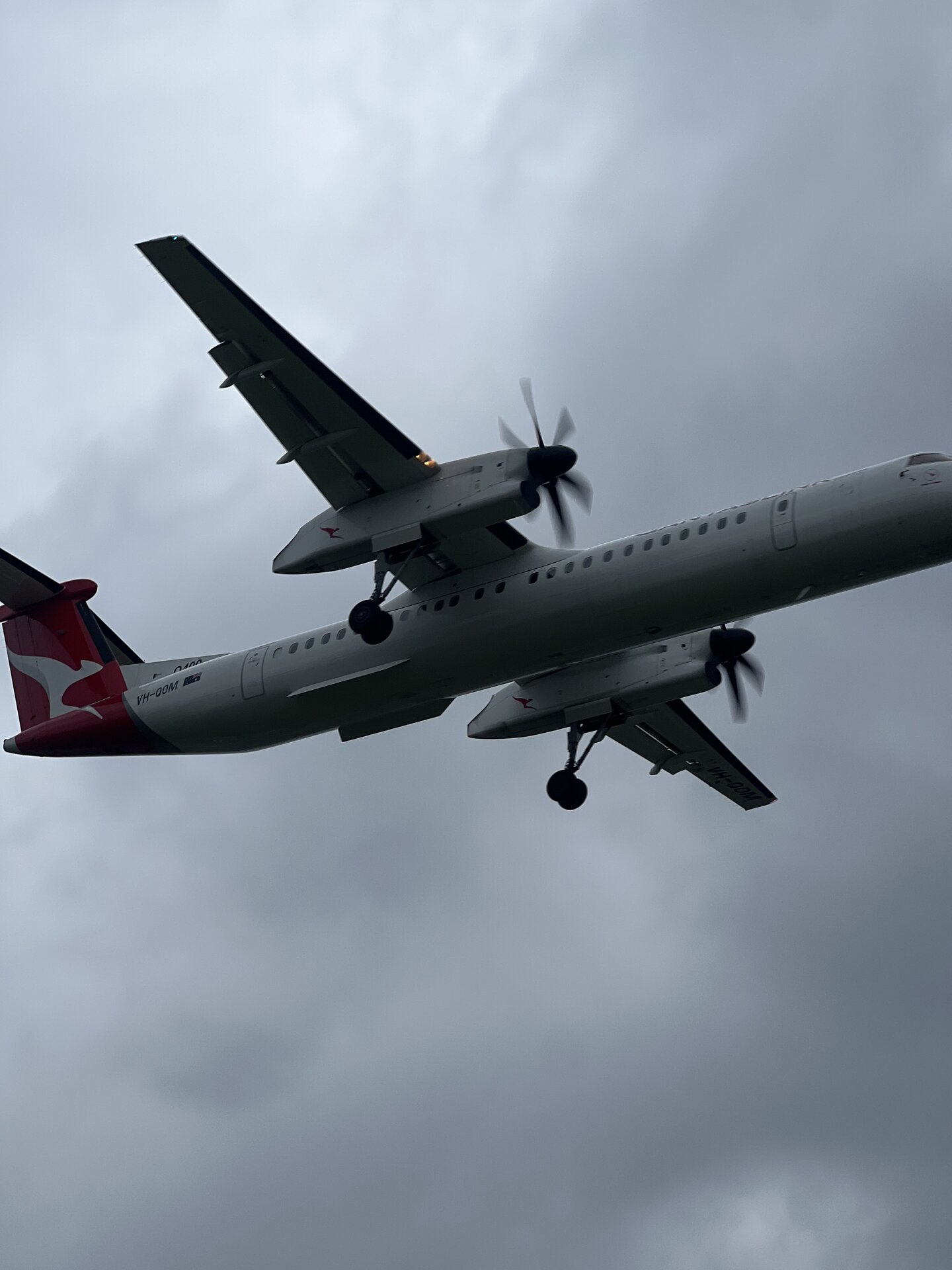 Dash Dash 8-0