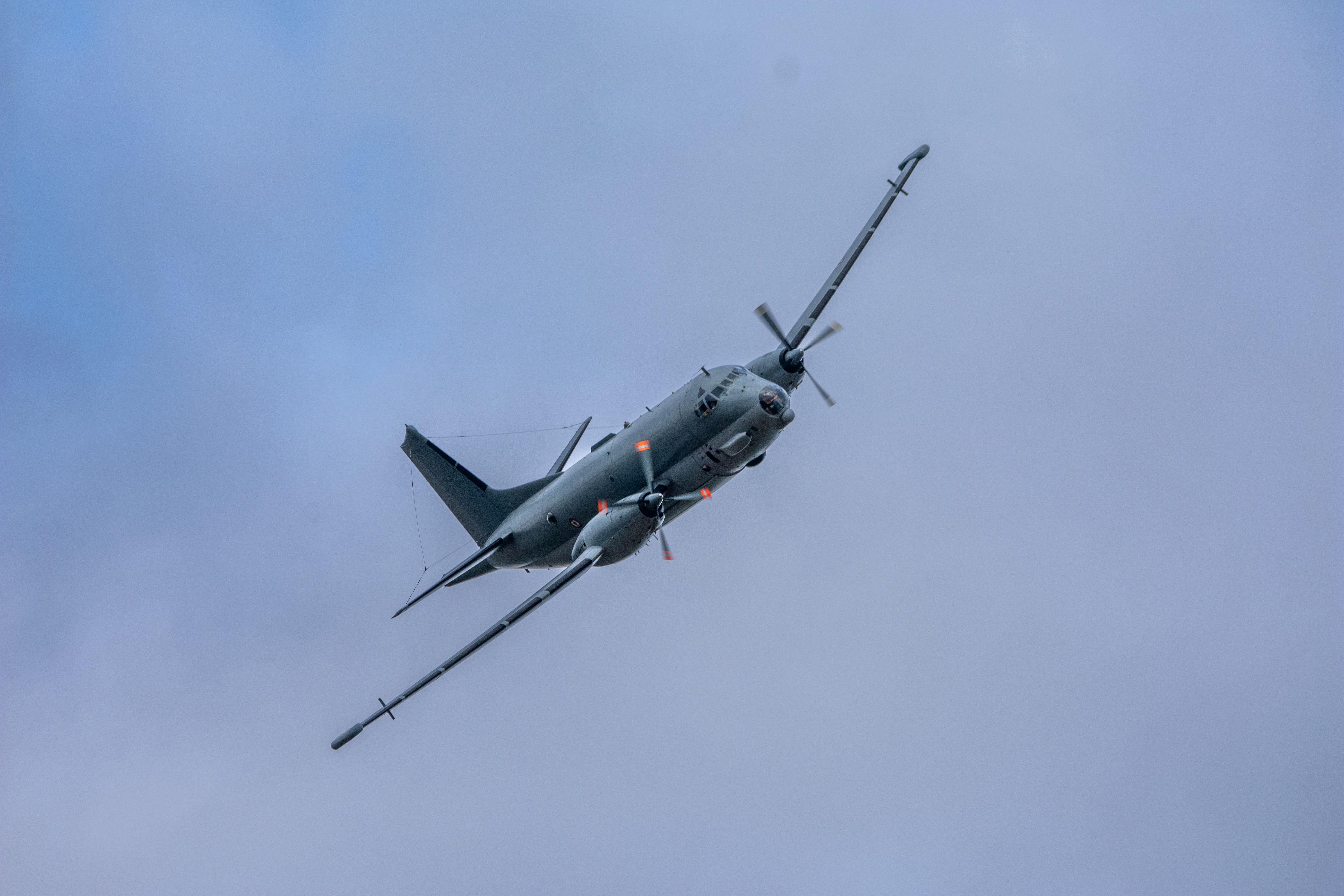 Spotting