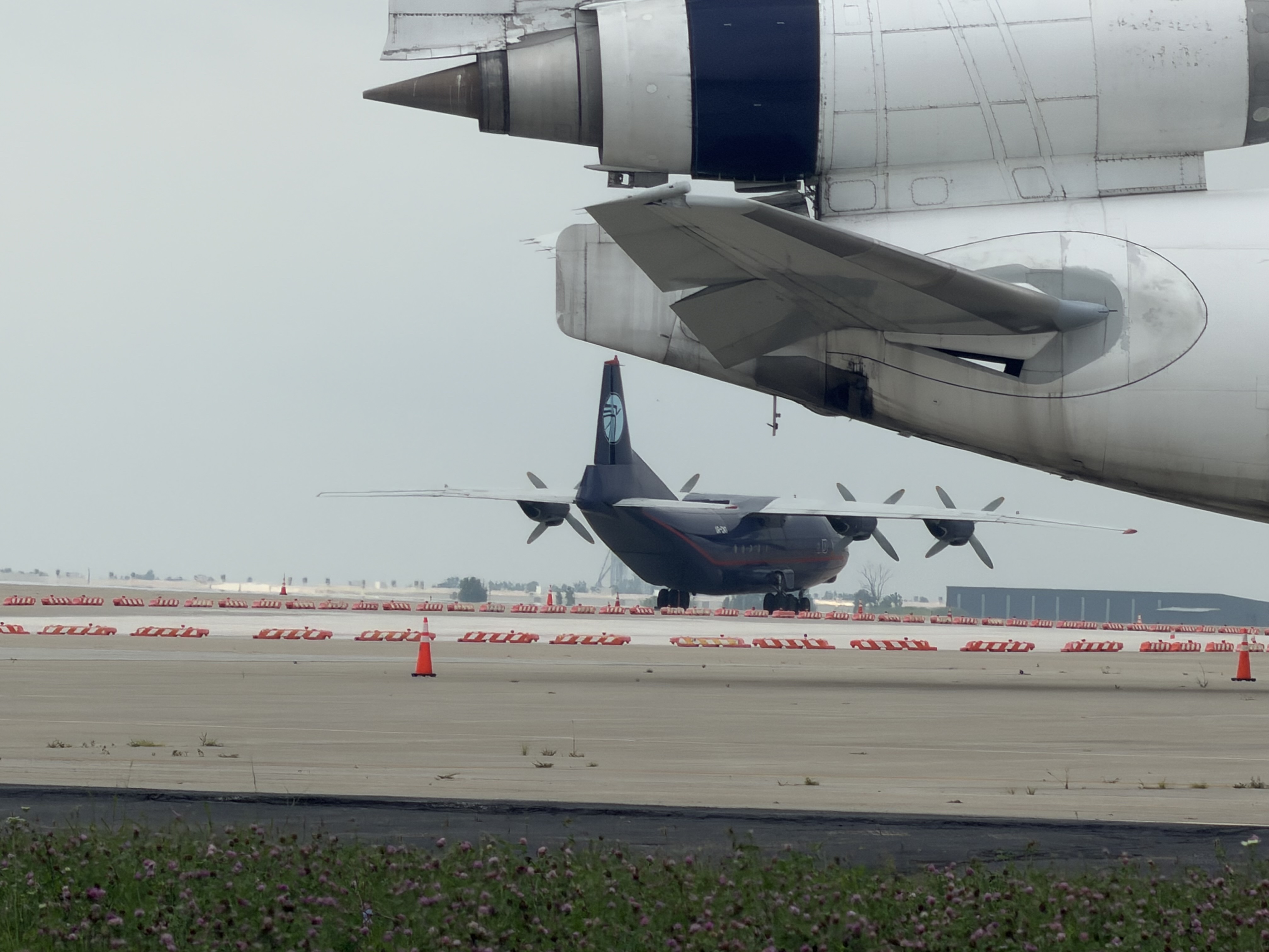 Spotting
