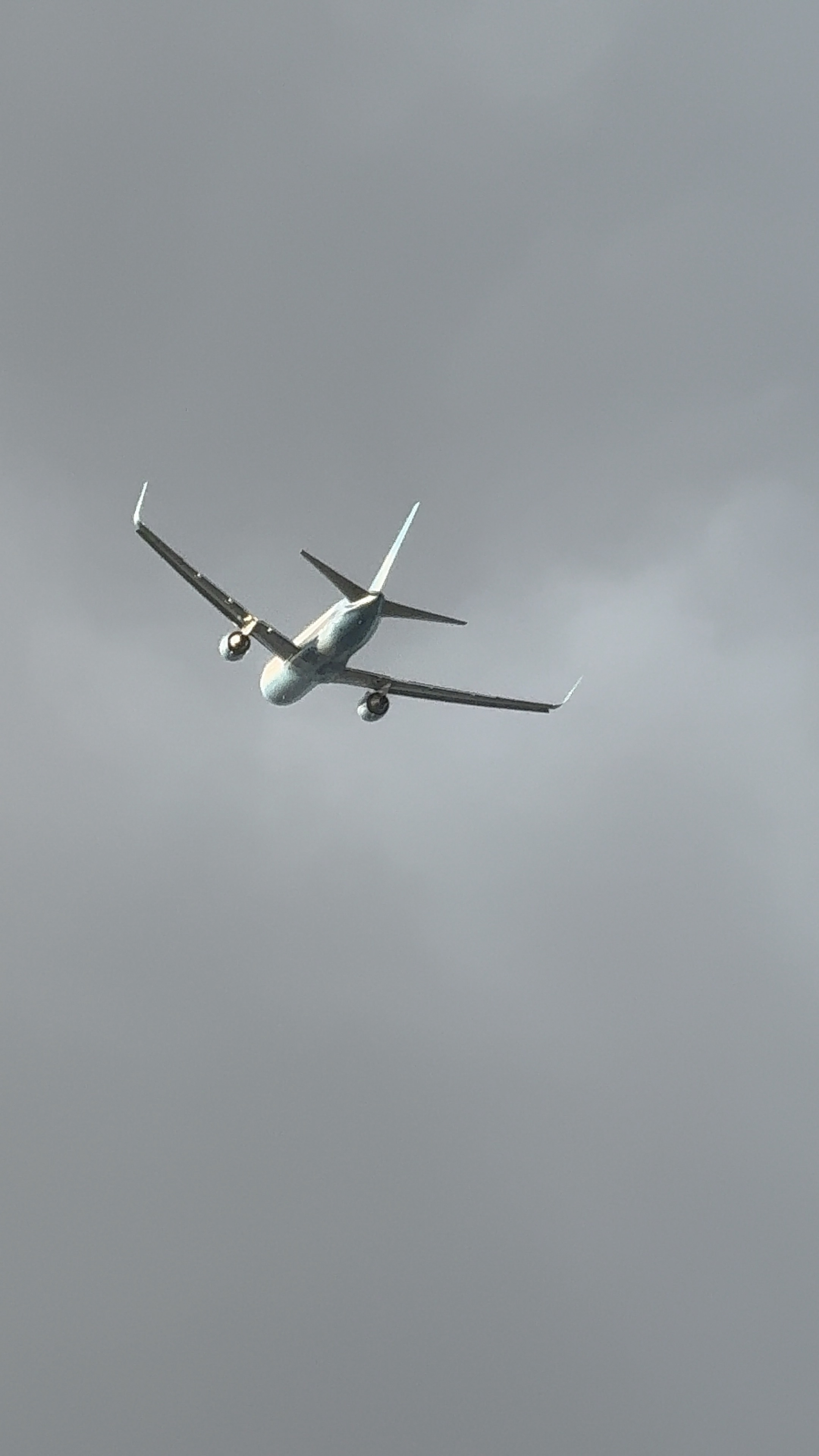 Spotting