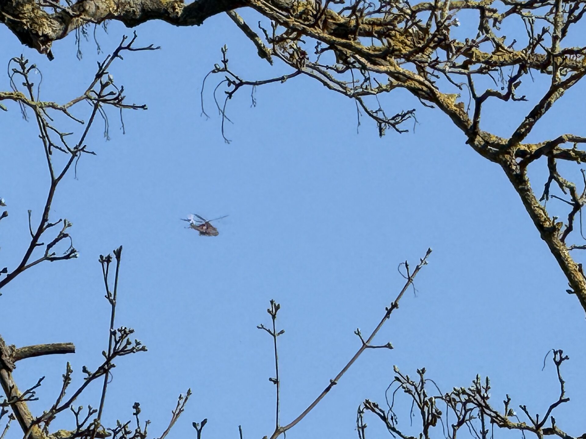 Spotting