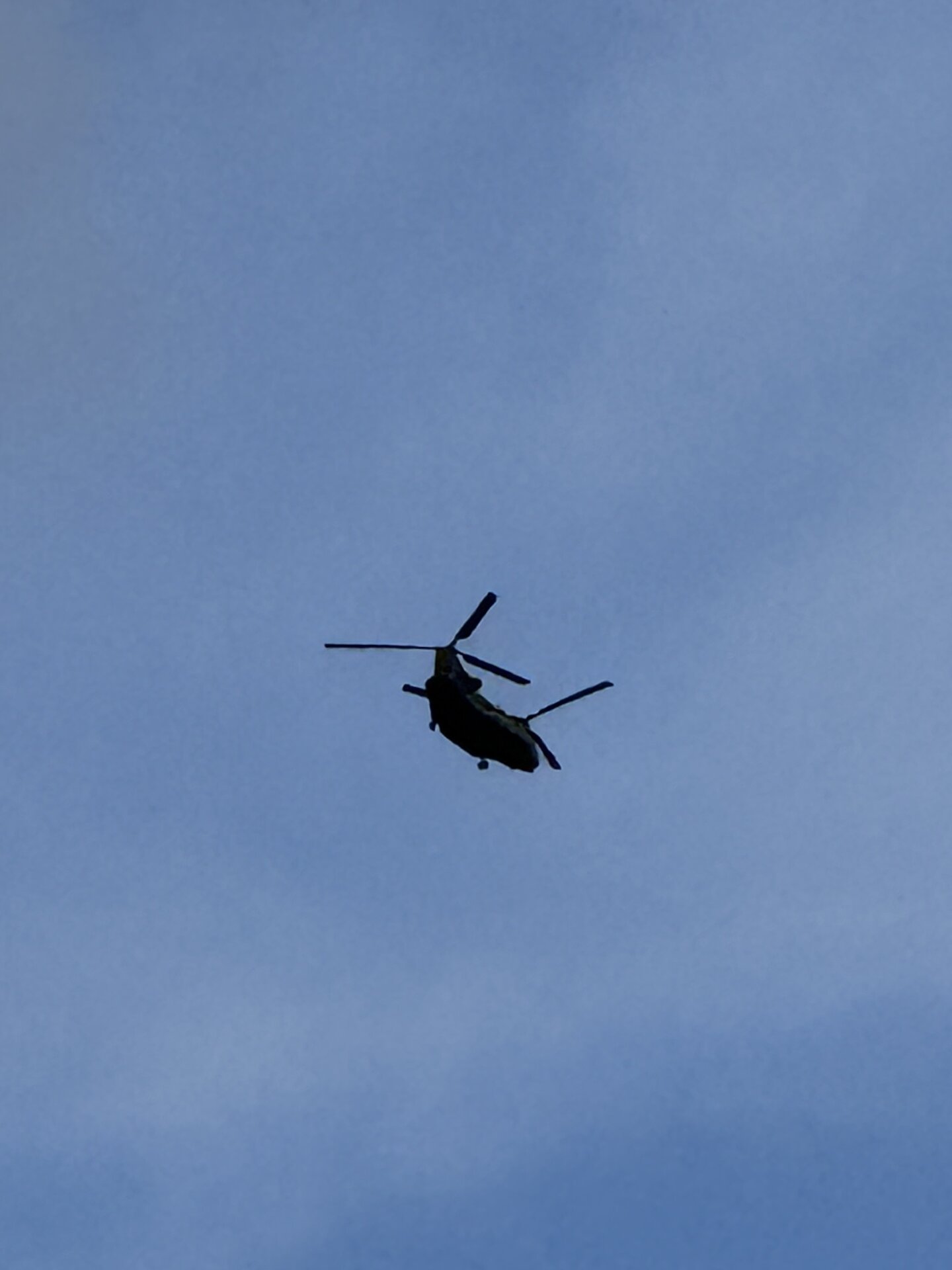 Spotting