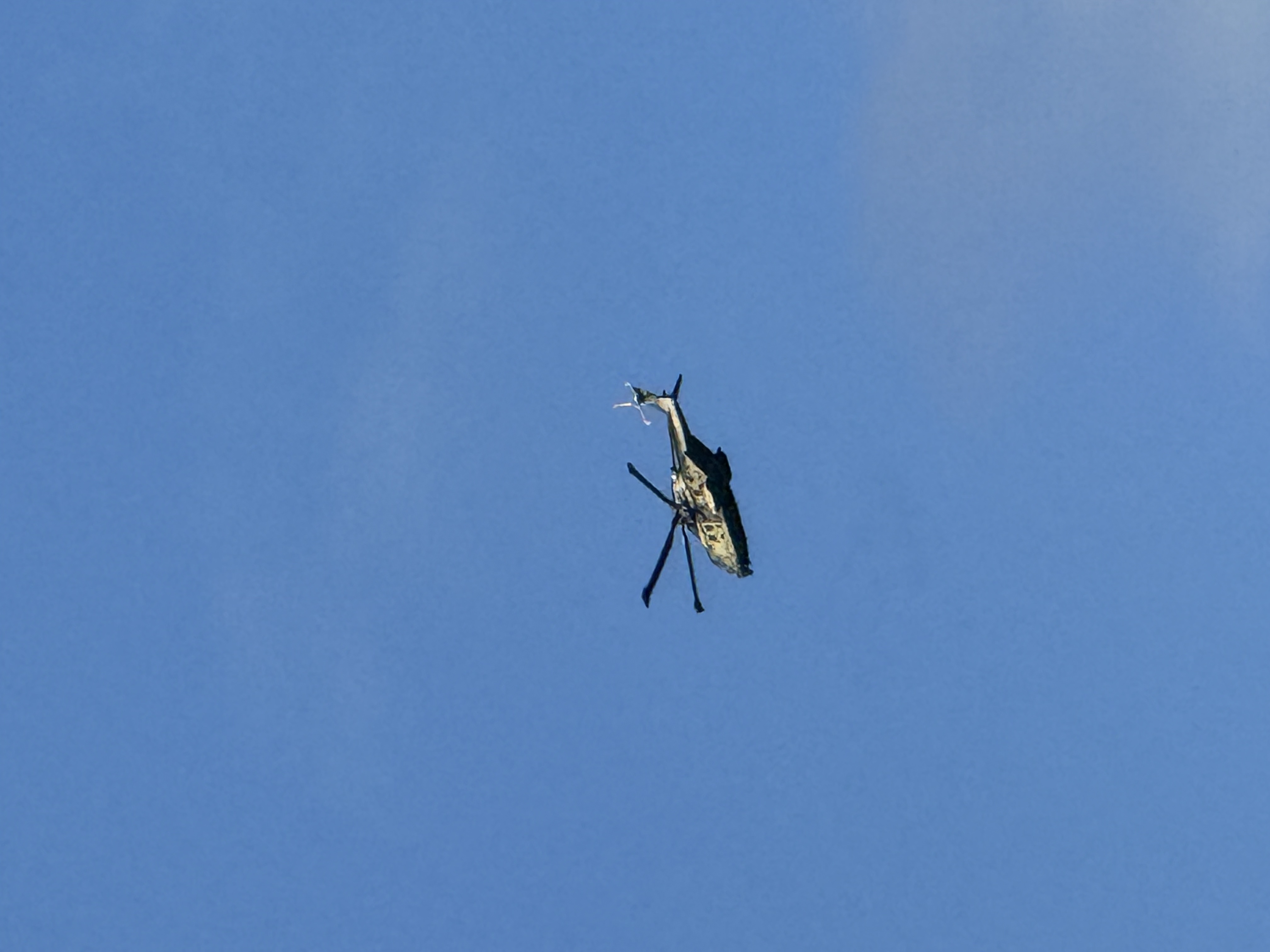 Aircraft